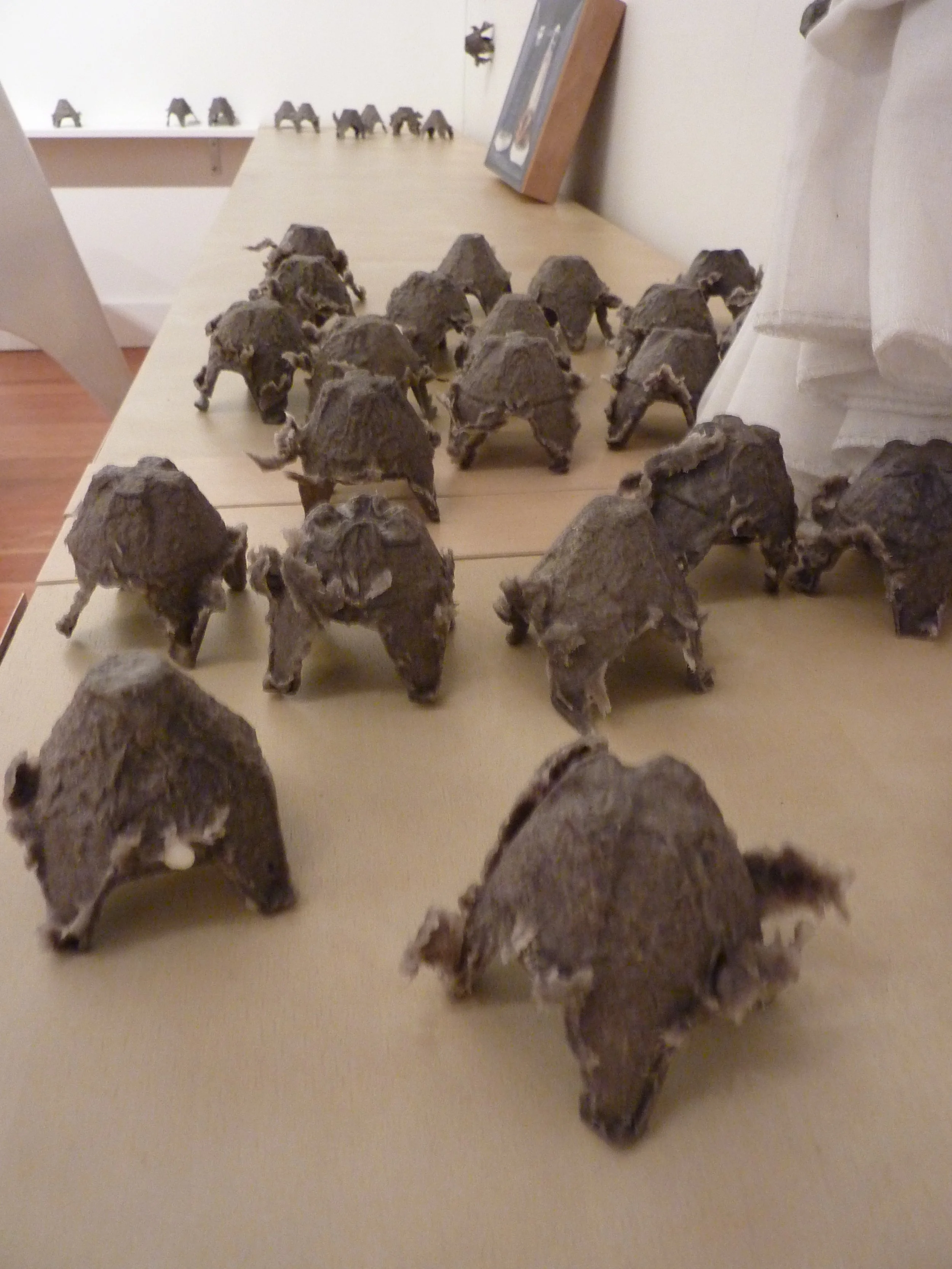 P1020834.JPG