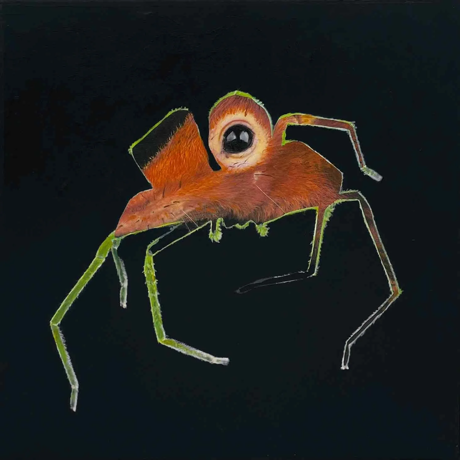 spiderat2.jpg