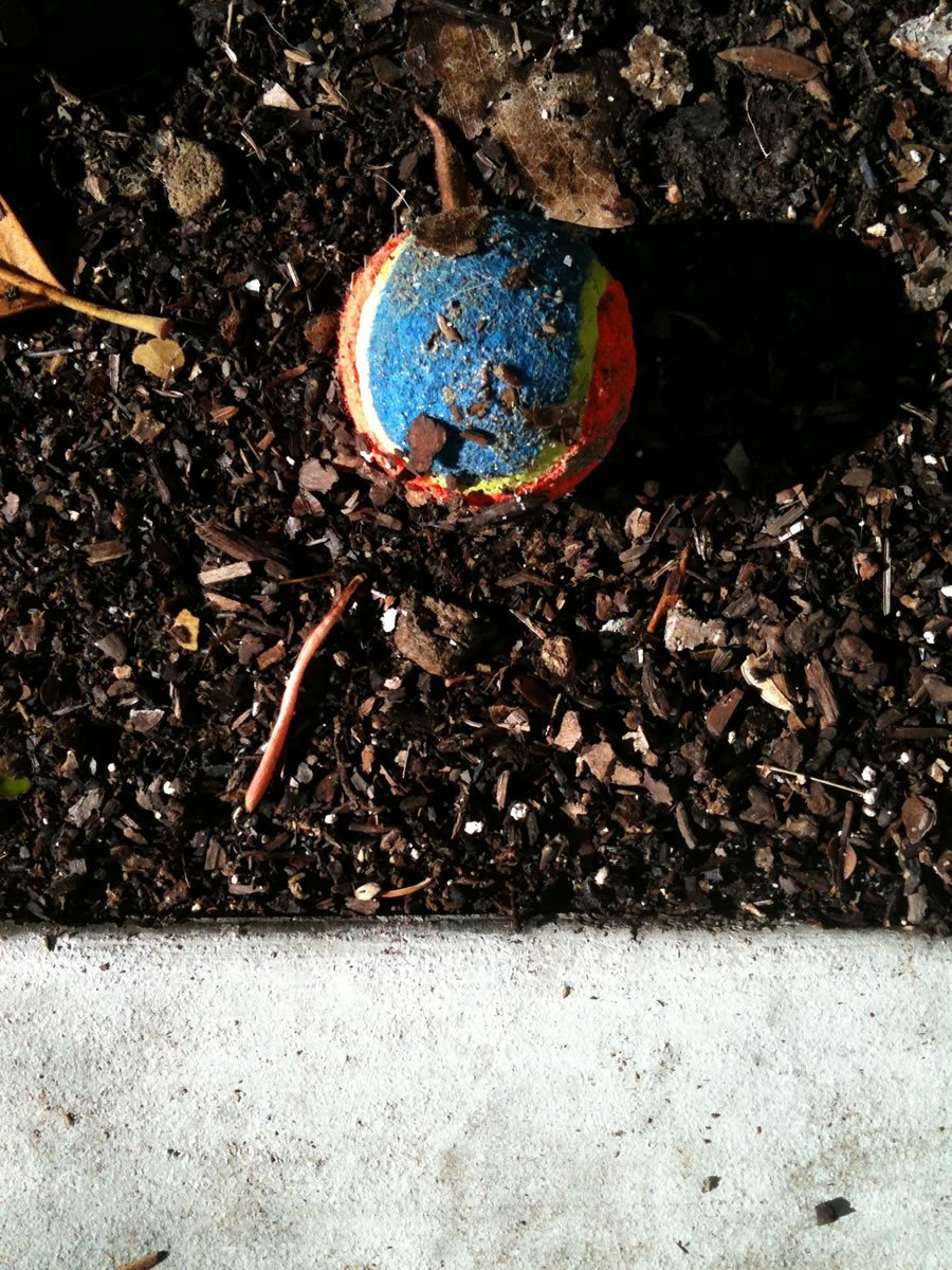 LookingDown_0379.jpg