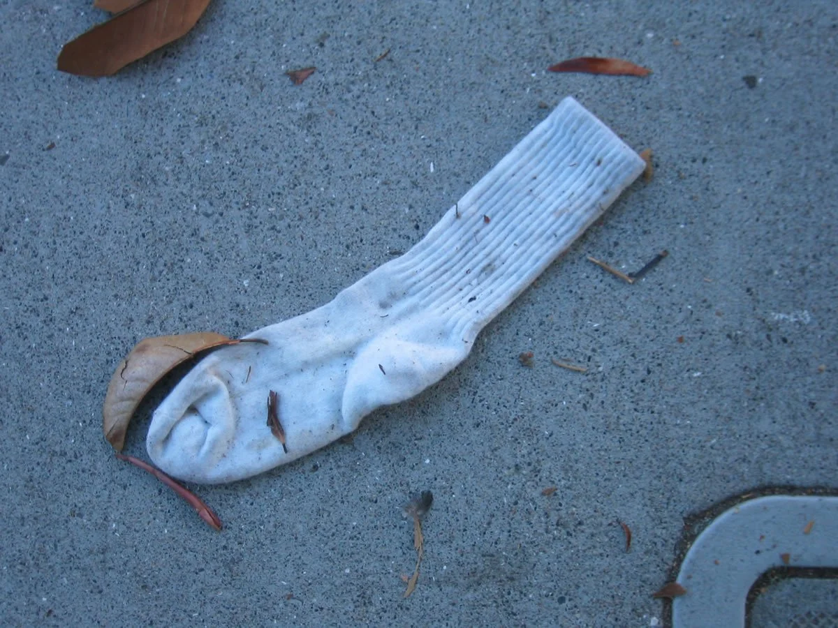 LookingDown_4641.jpg