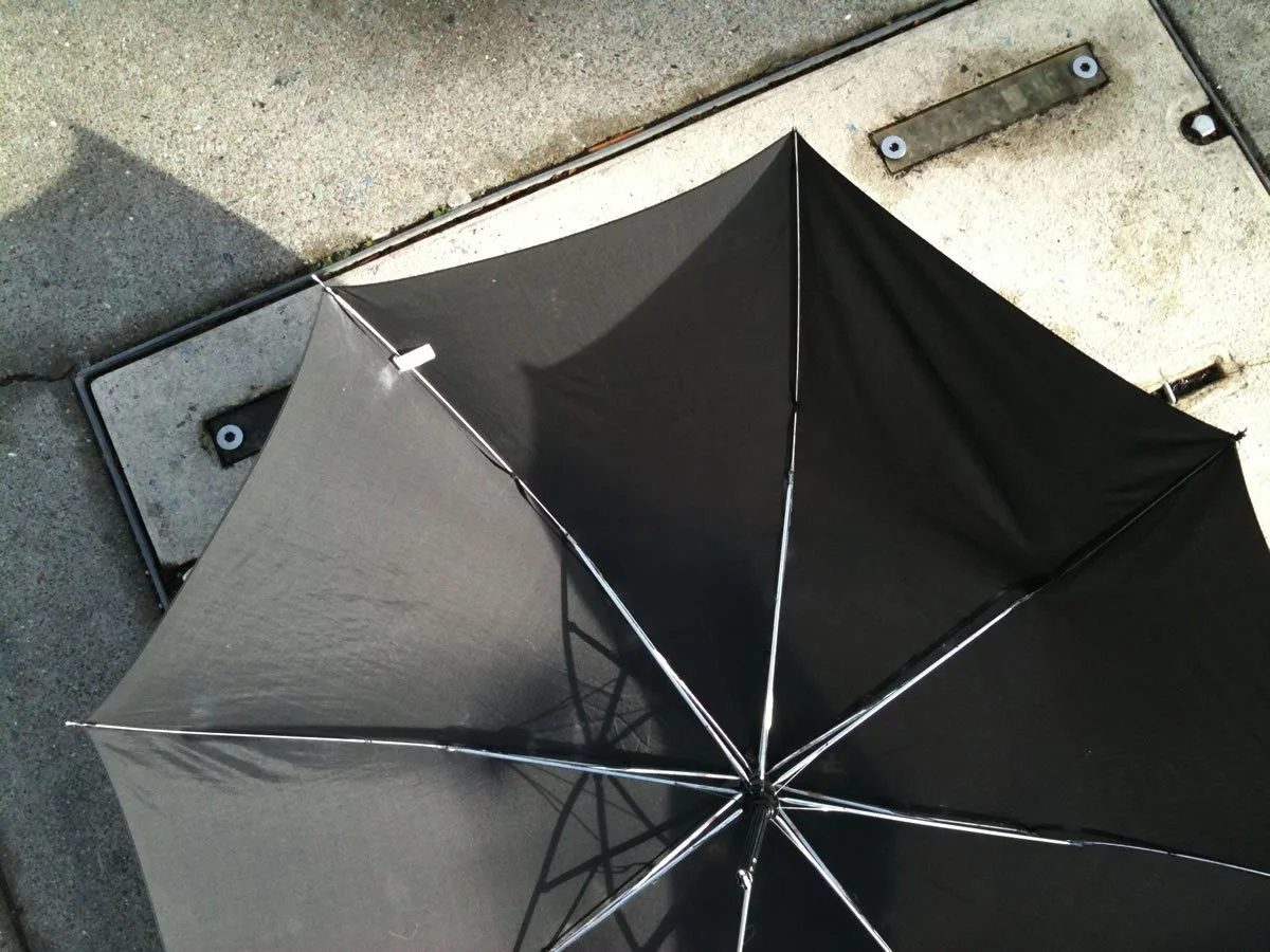 LookingDown_0217.jpg