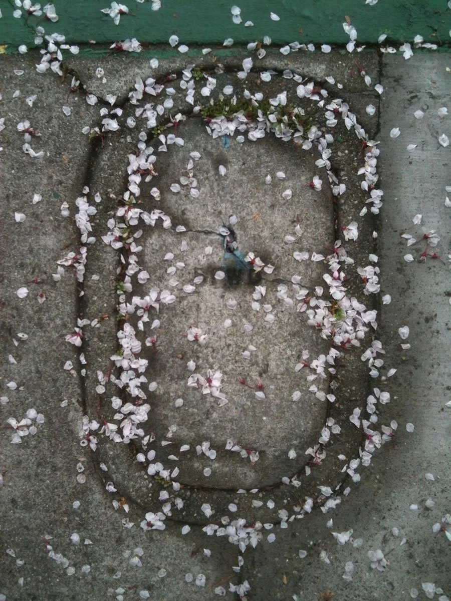LookingDown_0869.jpg