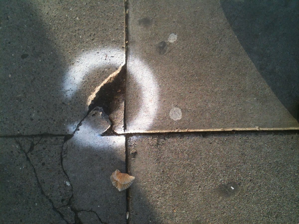 LookingDown_2346.jpg