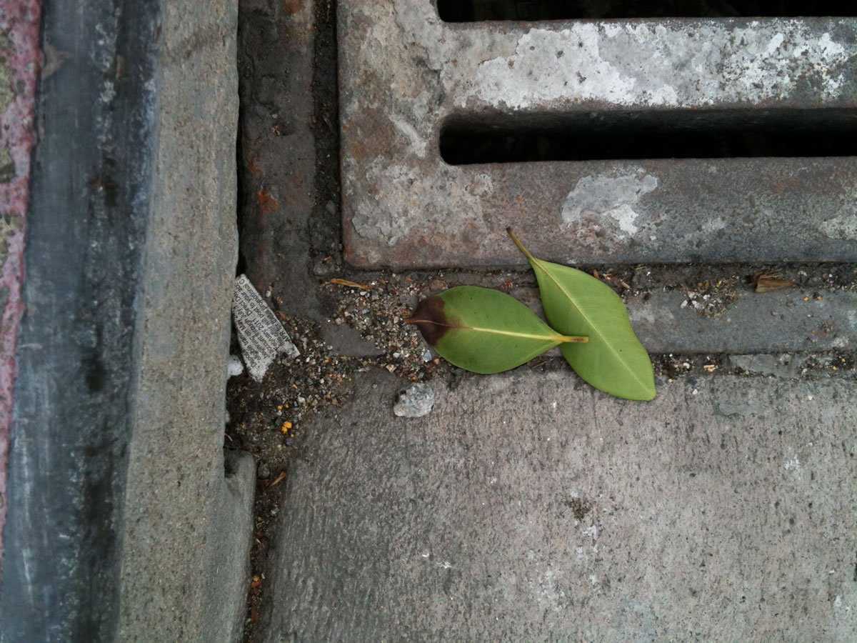 LookingDown_0002-5.jpg