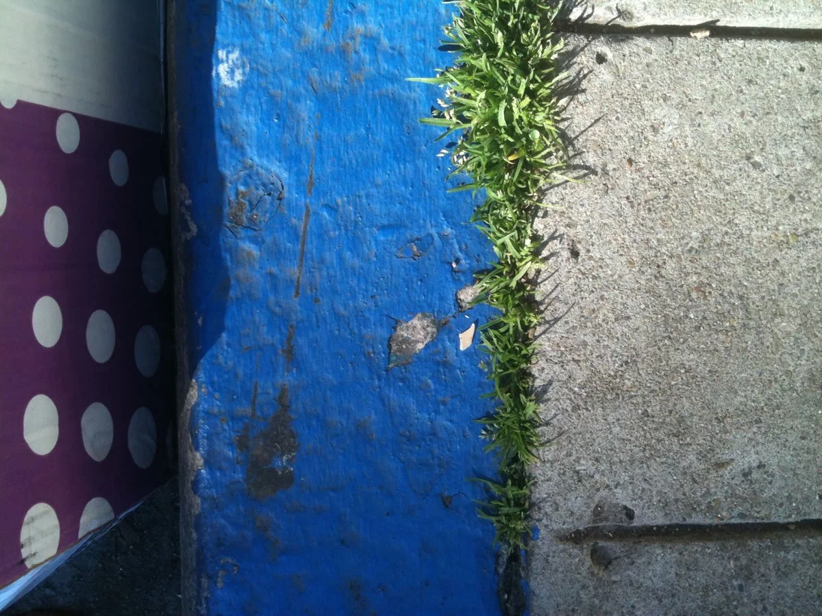 LookingDown_0820.jpg