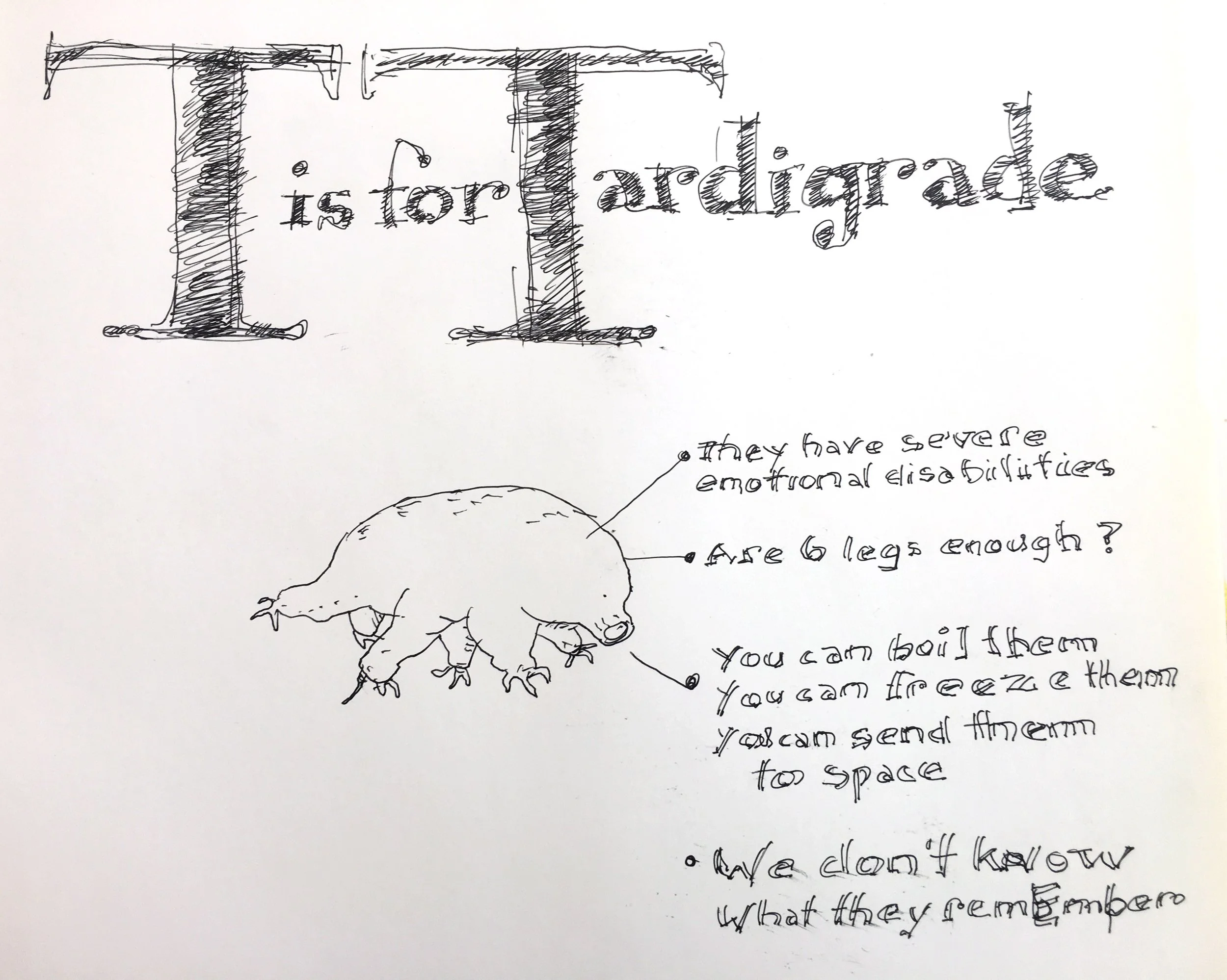 tardigrade IMG_3738.jpg