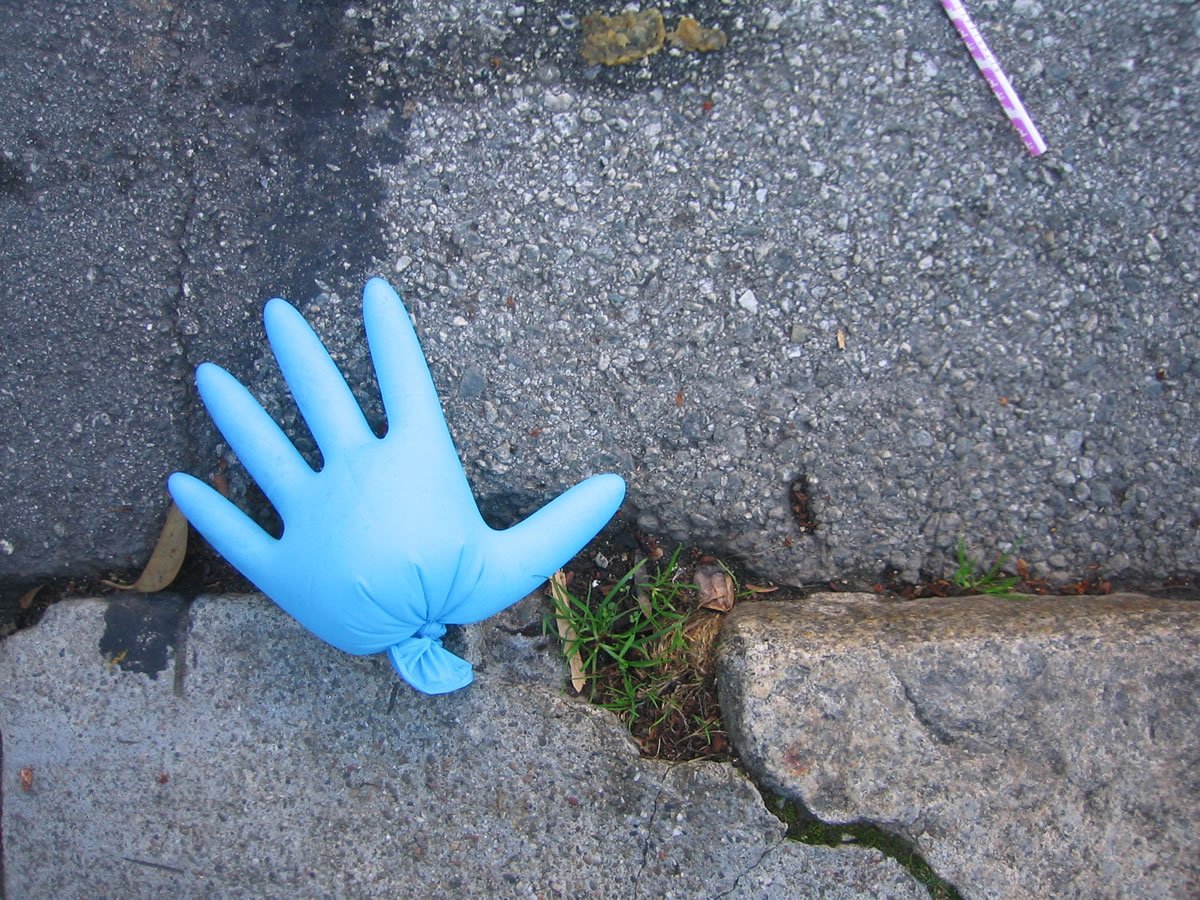 LookingDown_4837.jpg