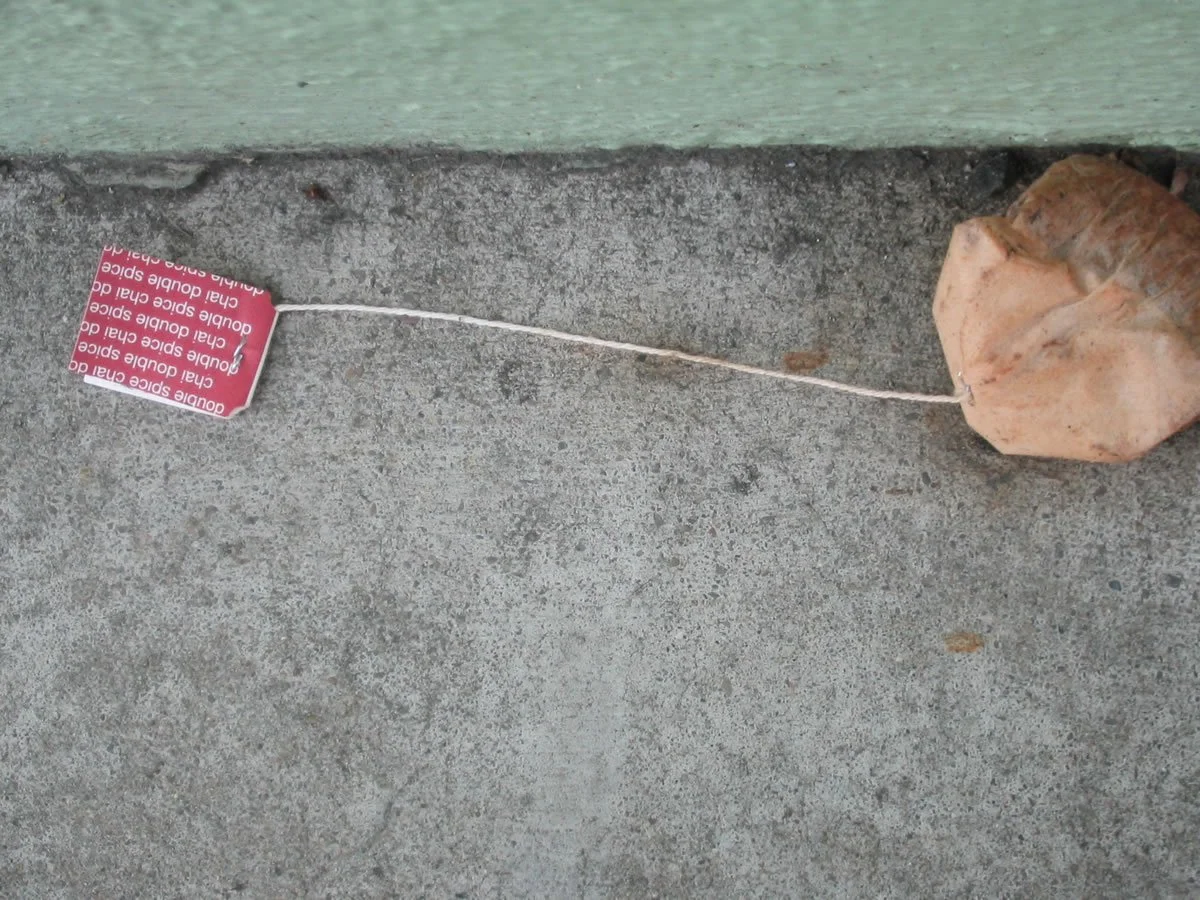 LookingDown_4335.jpg
