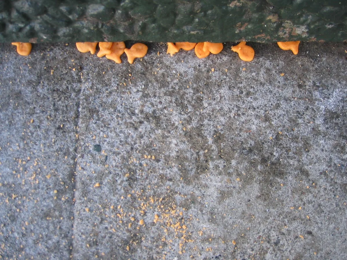 LookingDown_4838.jpg