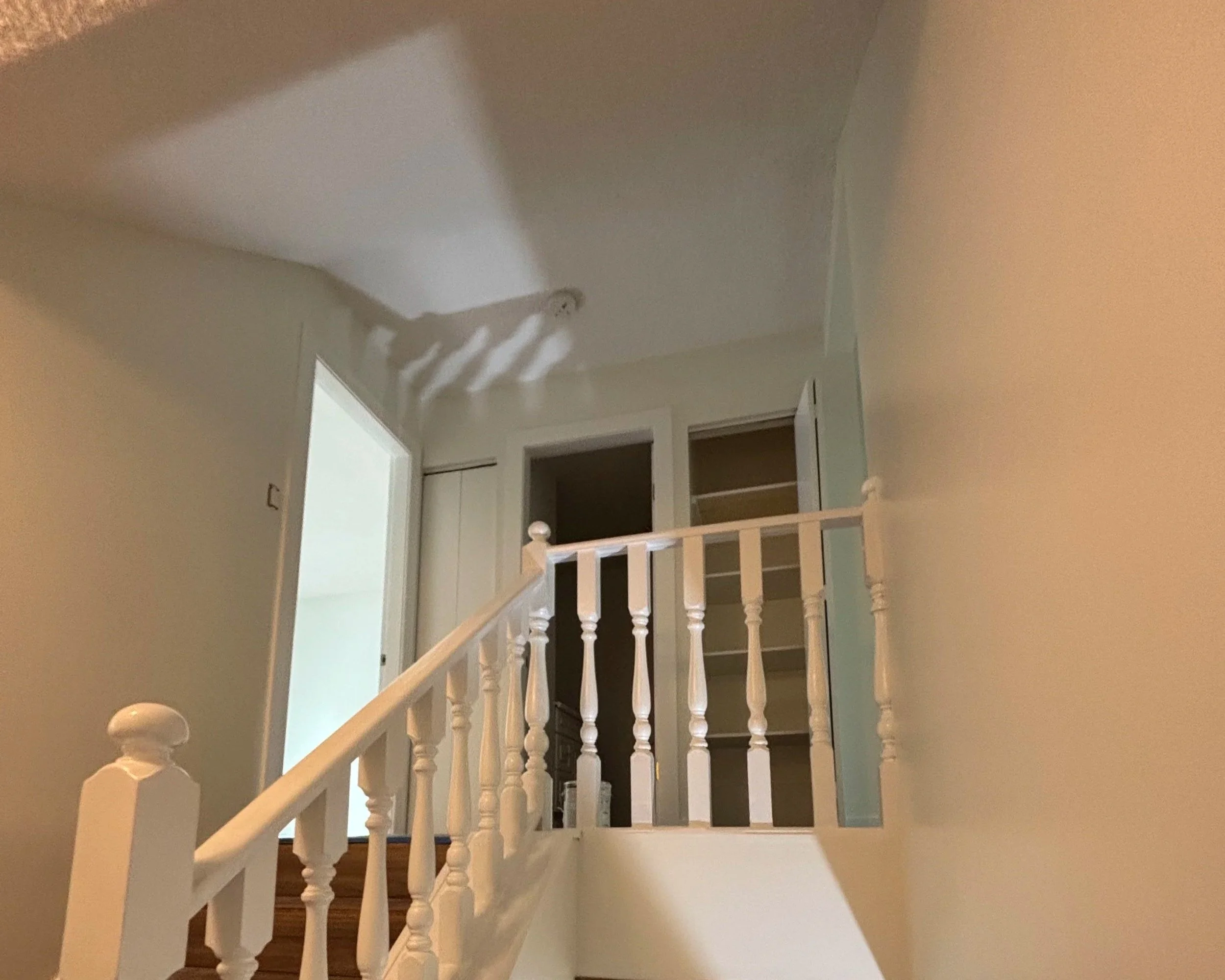 WALLS HOUSE PAINTING