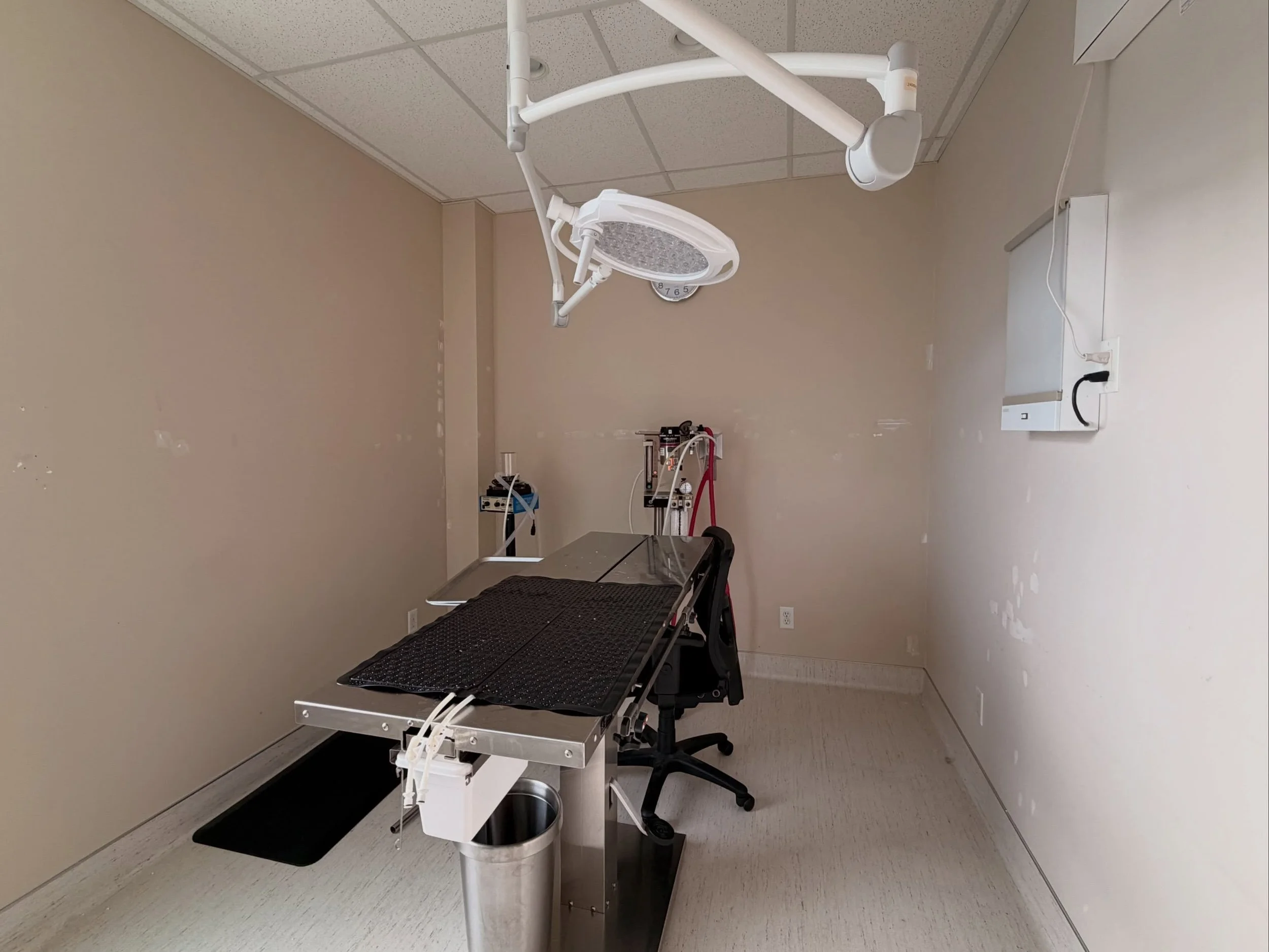 &bull; Before / After &bull; one more of our last project in VCA Cats Only Animal Hospital &bull; #paintingservices #granvilleisland #vancouverbc #vancouverpainters #vanpainting