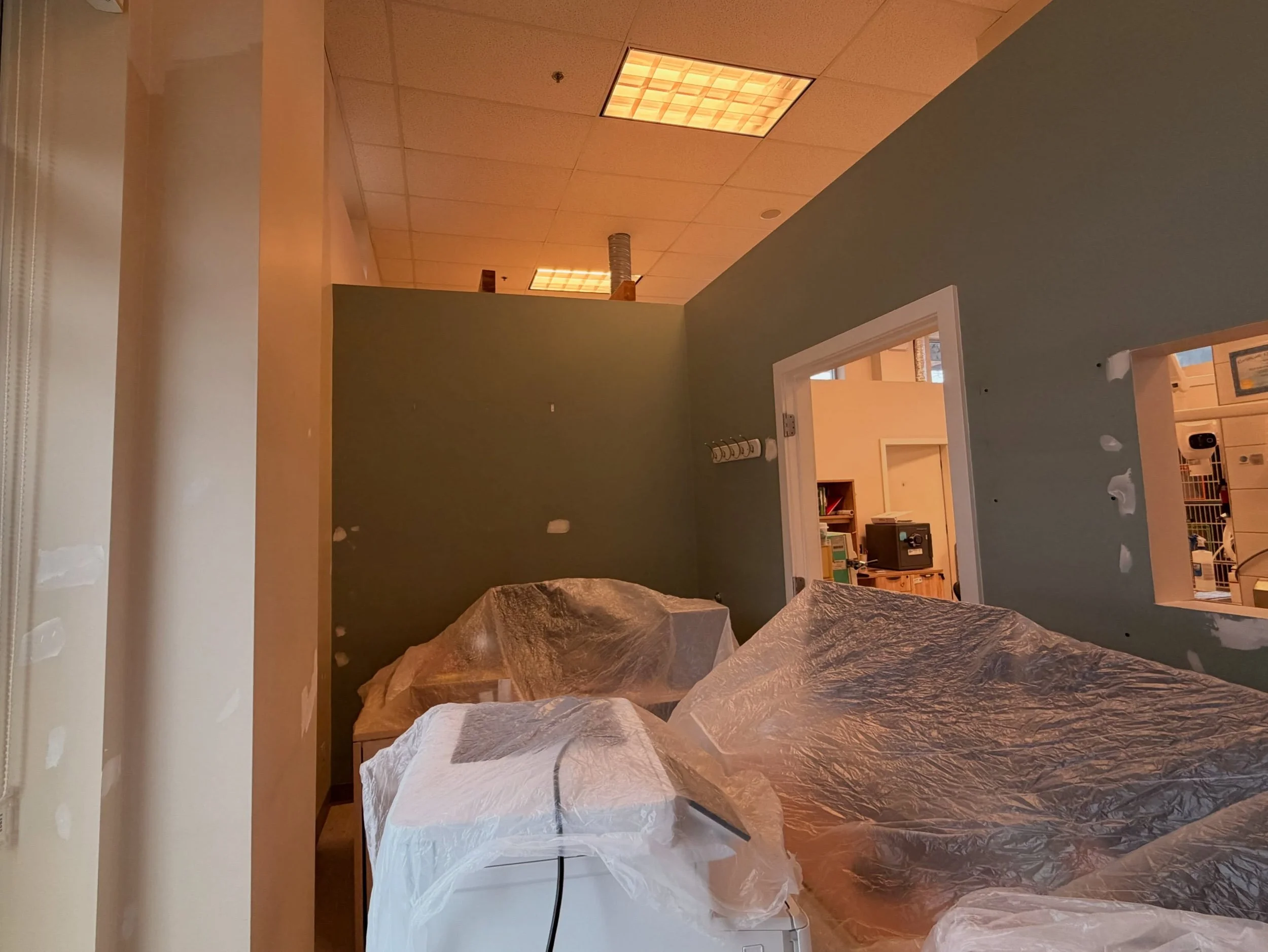 Is not just the color, is the vibe. Let&rsquo;s give to your space a 🆕 vibe with some fresh paint. IS TOP PAINTING is what you need 😎👊
#paintingservices #vancouverpainting #commercialpainting #istoppainting #burnabypaintingservices