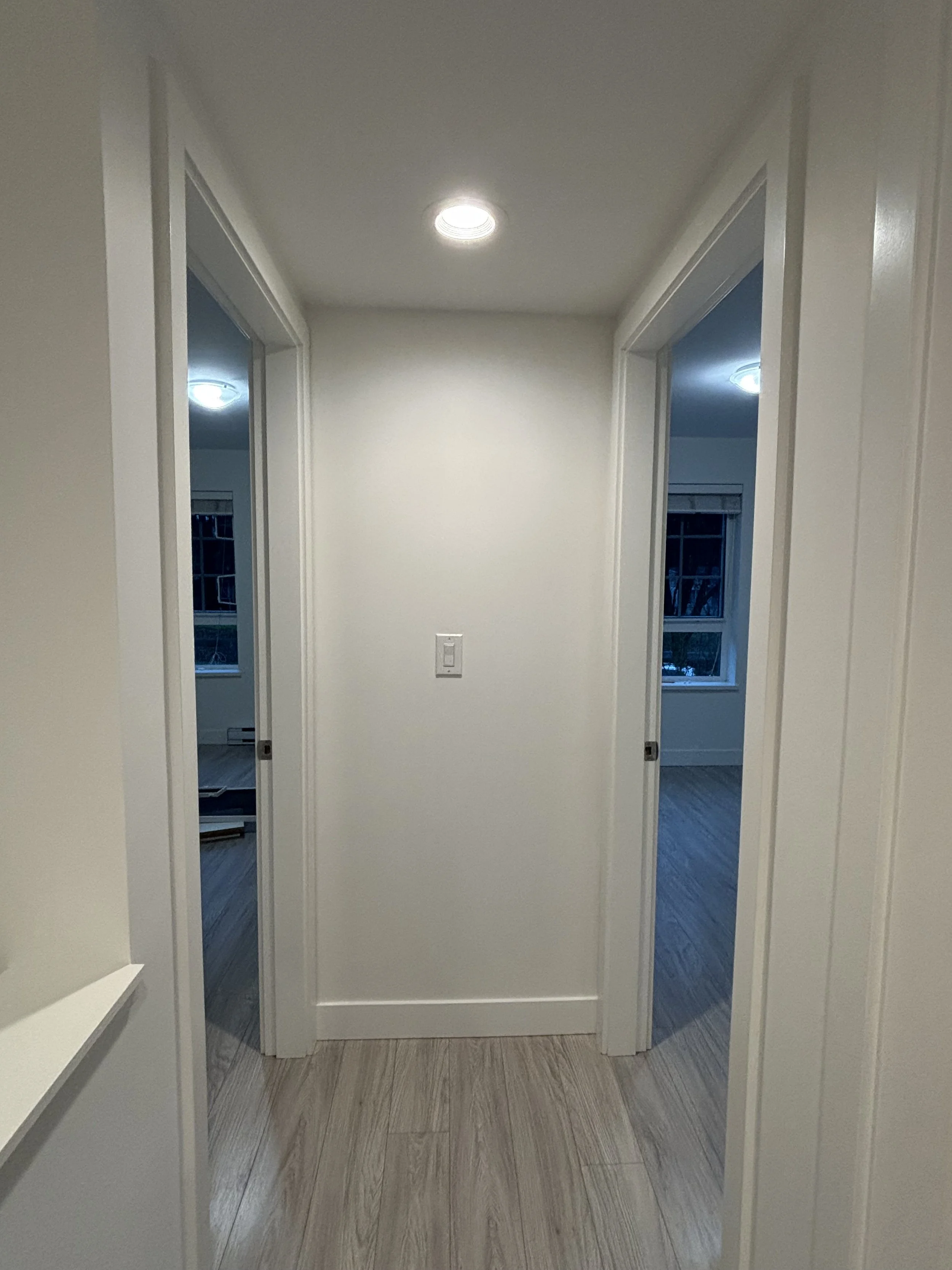 TOWN HOUSE PAINTING