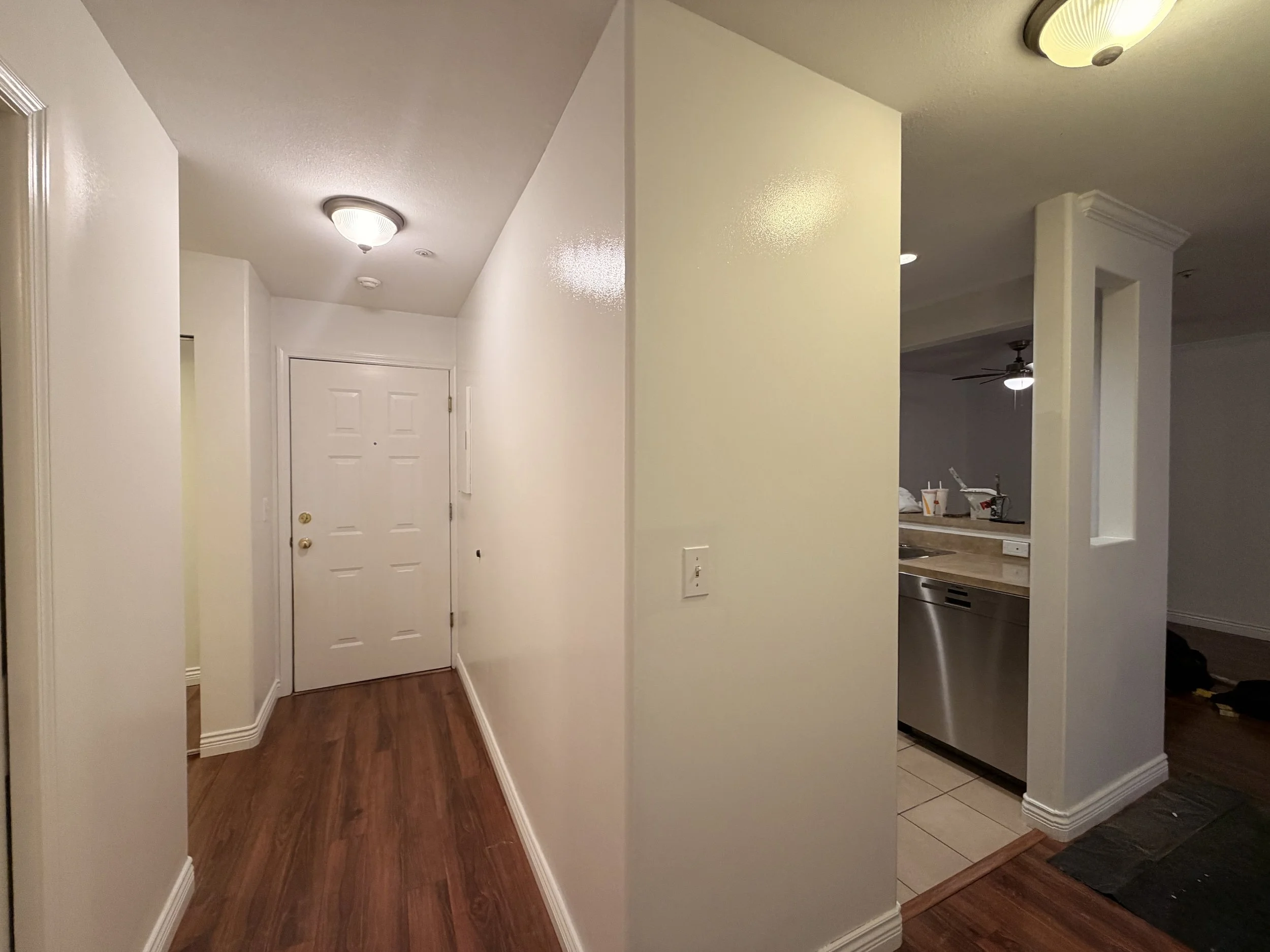 APARTMENT PAINITNG