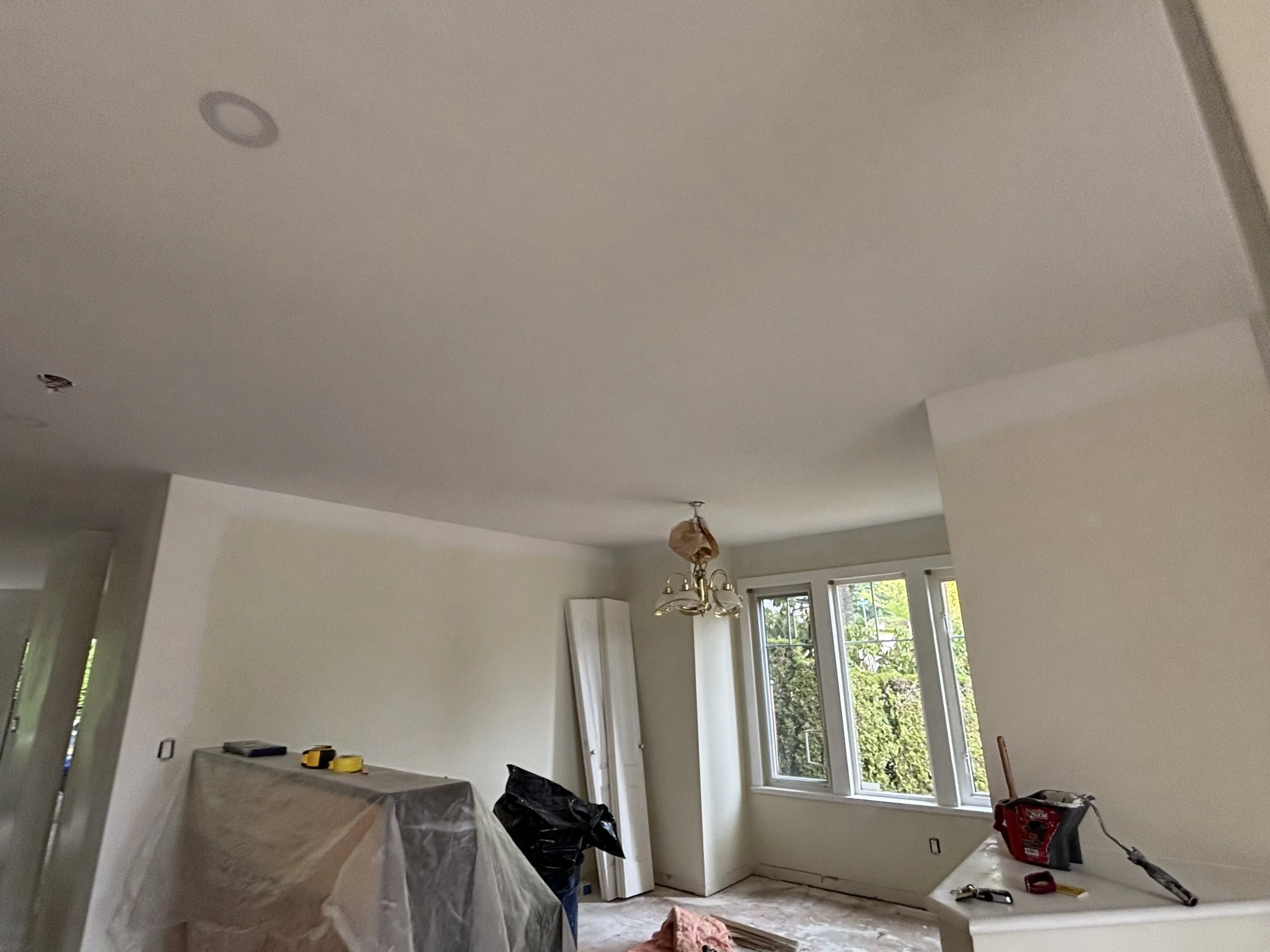 ceilings done costelo sala.jpeg