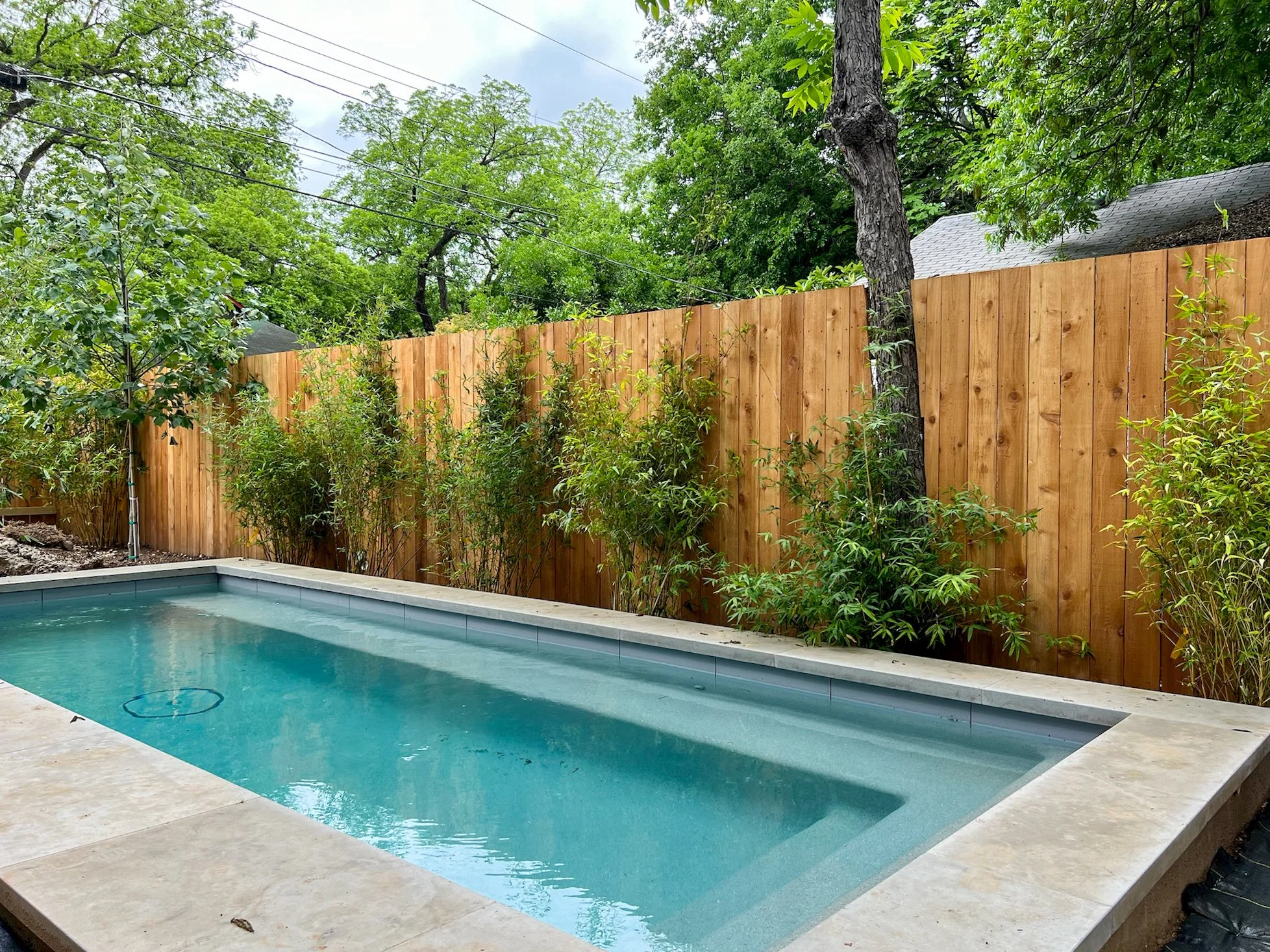 A backyard swimming pool in Austin, TX with a wooden privacy fence and green trees and bushes surrounding it.