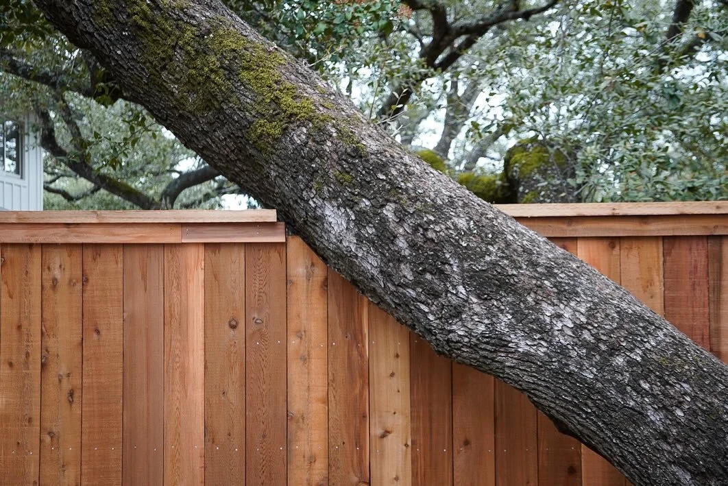 In a place like Austin, mature trees aren&rsquo;t obstacles &mdash; they&rsquo;re assets 🌳

When we install a fence, we don&rsquo;t just look at the trunk. A tree&rsquo;s root system extends far beyond what you see above ground, and setting posts to