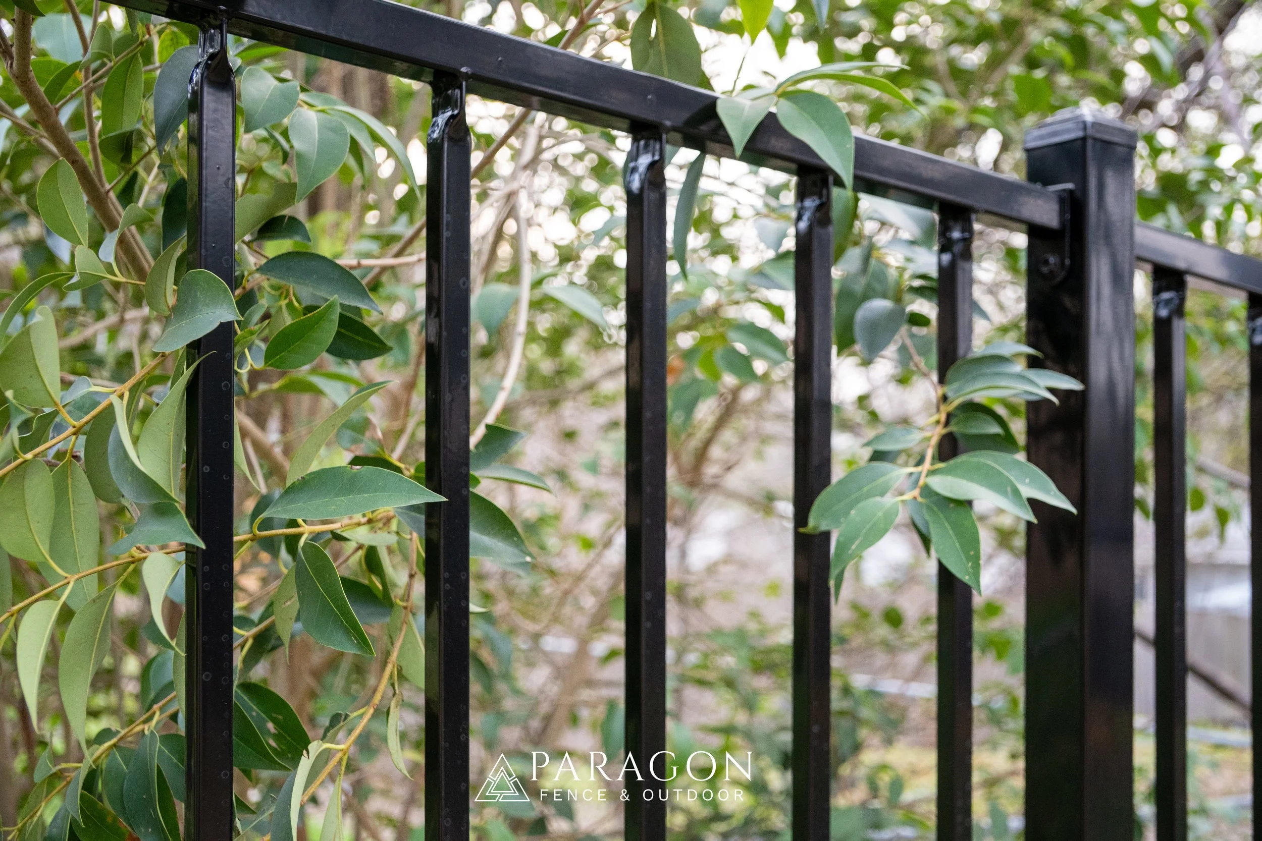 A black metal fence in a wooded outdoor area with trees and shrubs, sunlight filtering through the foliage, casting shadows on the ground.