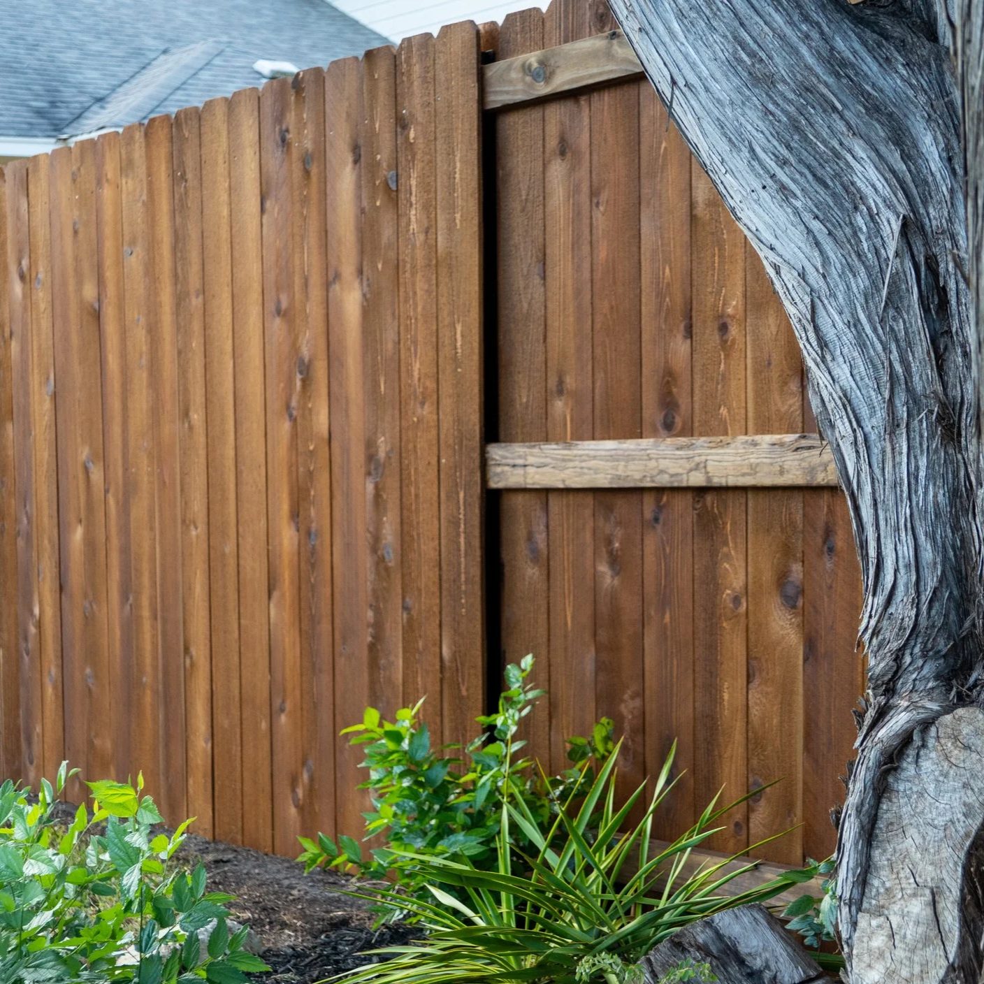 A wooden fence with a gate, next to a tree trunk and green plants, in an outdoor setting.