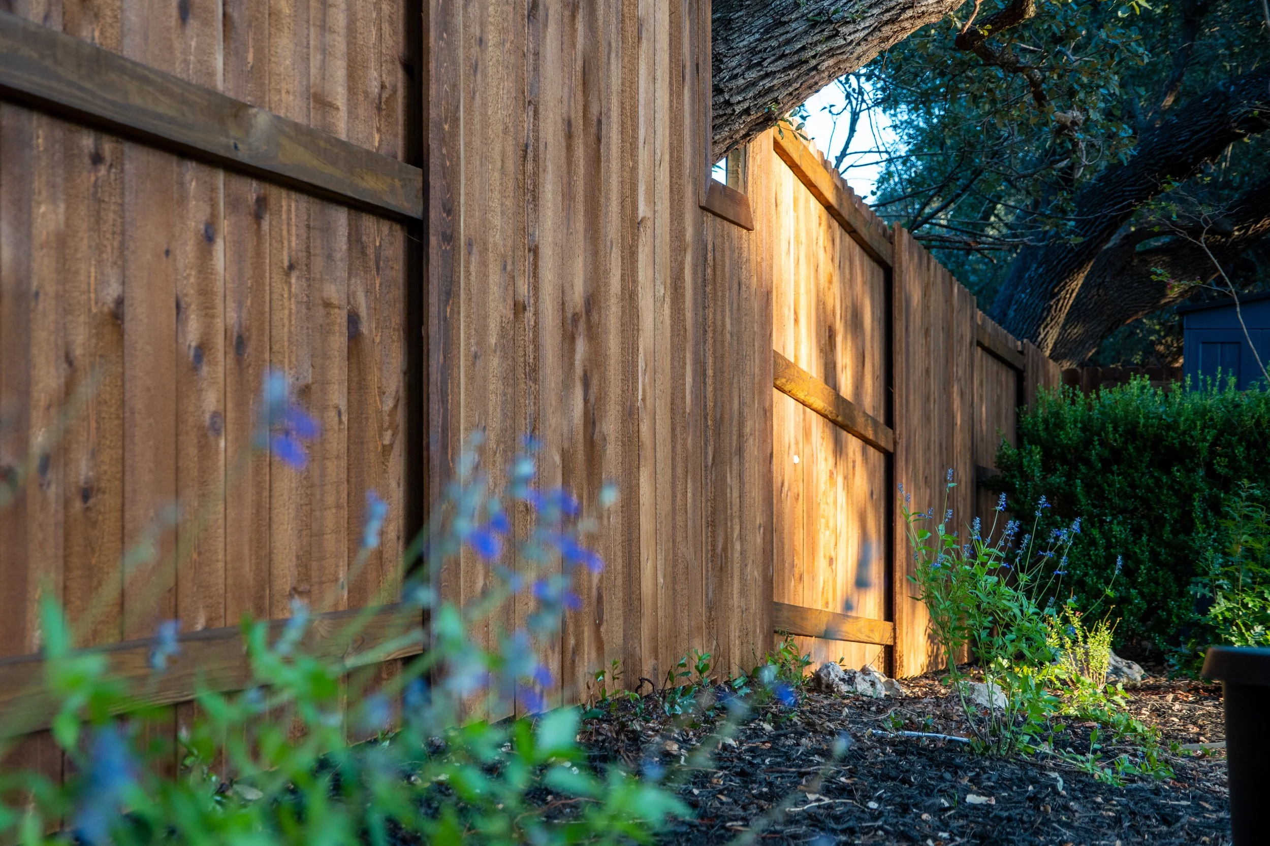 Wooden garden fence with sunlight shining on it, surrounded by plants and flowers at ground level.