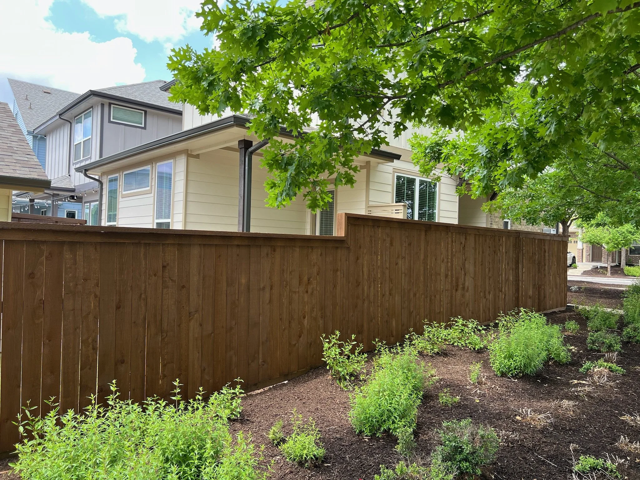 A backyard with a vertical wooden fence stained in coffee brown, green shrubs, and a tree with green leaves in front of a beige house with a gray roof and multiple windows.