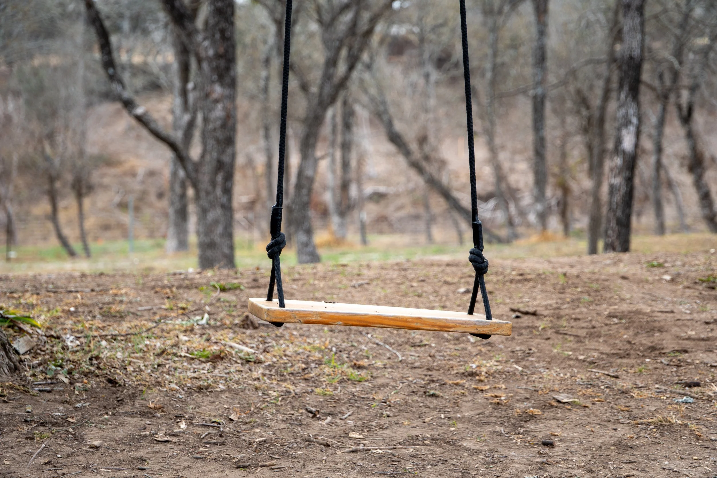 Empty wooden swing hanging from ropes in a forested area with leafless trees.