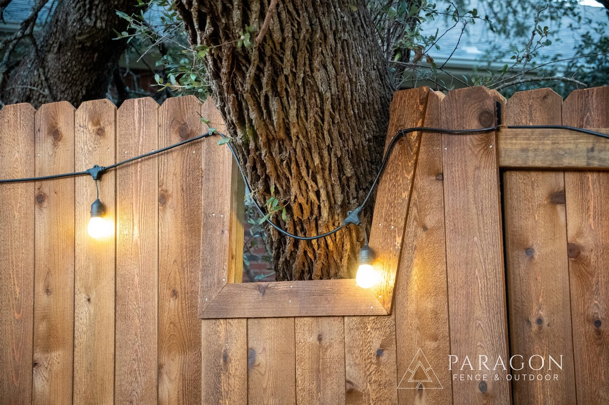 A wooden fence with string lights, and a large tree growing through a cutout in the fence.