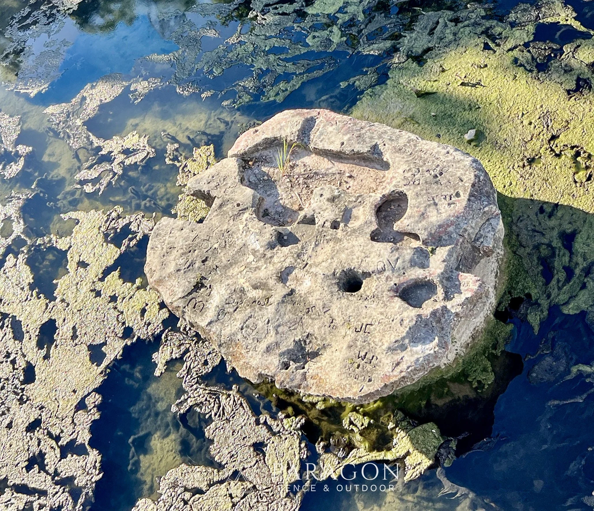 A large, irregularly shaped rock with holes and carvings, partially submerged in a shallow body of water with green algae and moss. The sunlight creates shadows on the rock and water surface.