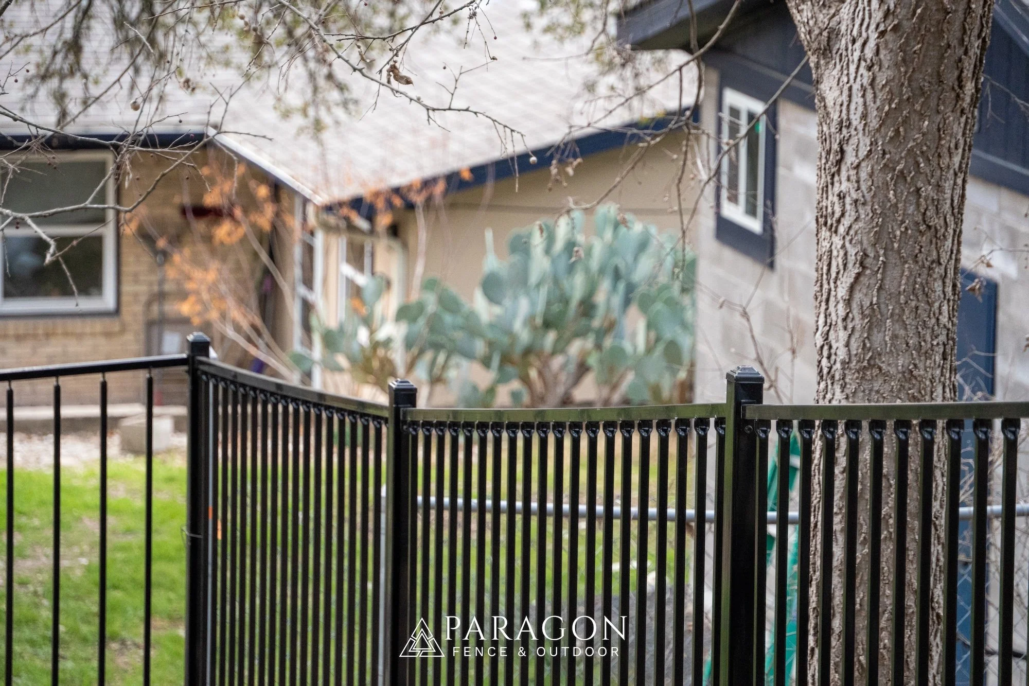 Black metal fence with vertical bars in front of a yard with green grass, a large tree with textured bark, and nearby houses with brick and beige siding and dark window frames.
