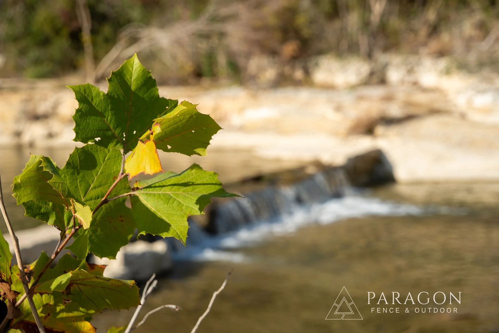 Close-up of green and yellow leaves on a branch near a small waterfall in a river or stream.