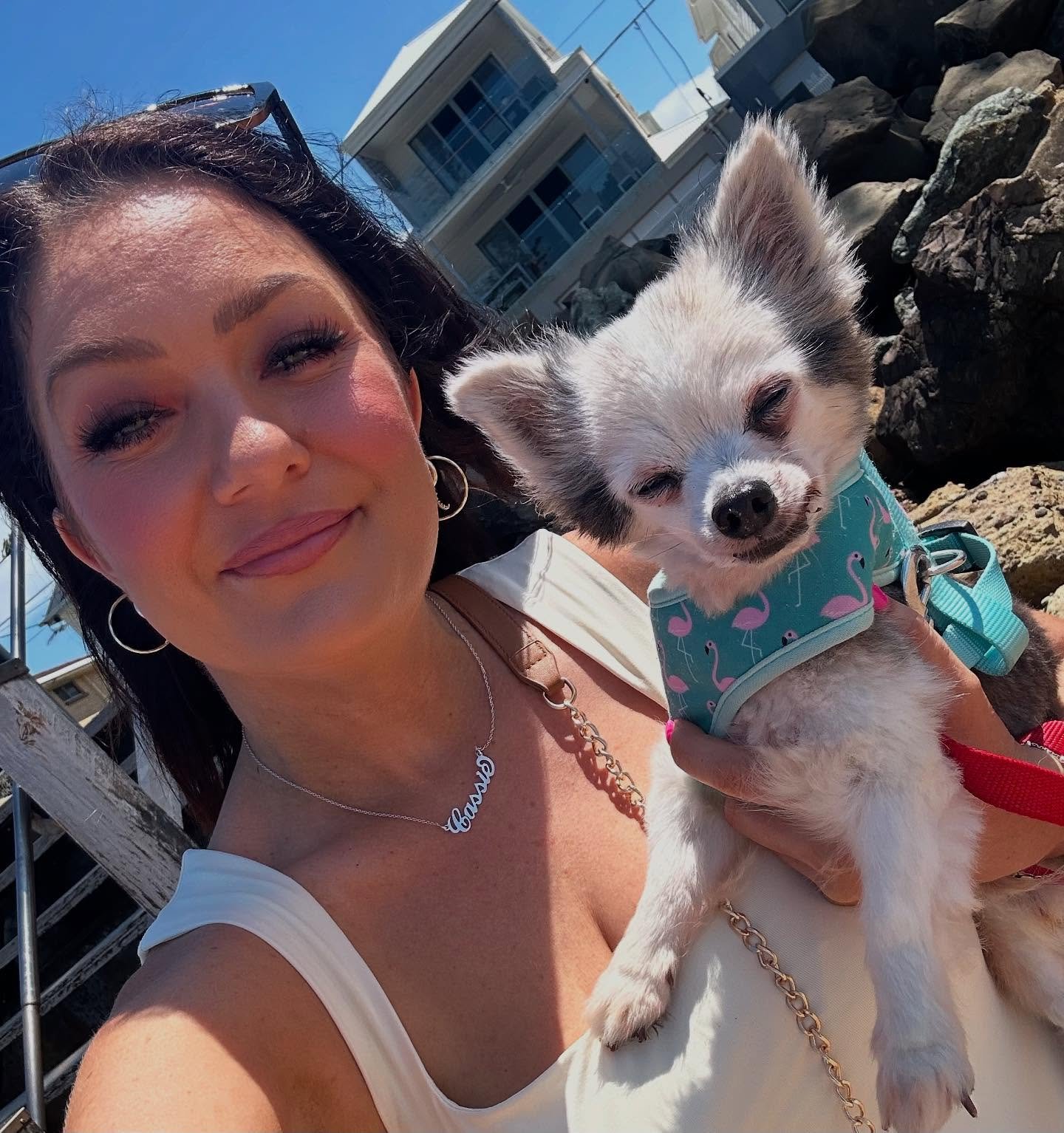 ✨ The story behind Little Jack Co ✨

When I started this little business, I wanted it to be filled with heart. Something that wasn&rsquo;t just about flowers and candles, but about meaning and memory.

Little Jack Co is named after my 20 year old chi