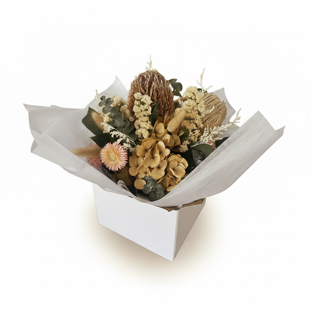 Photoroom_20260902_164259.png