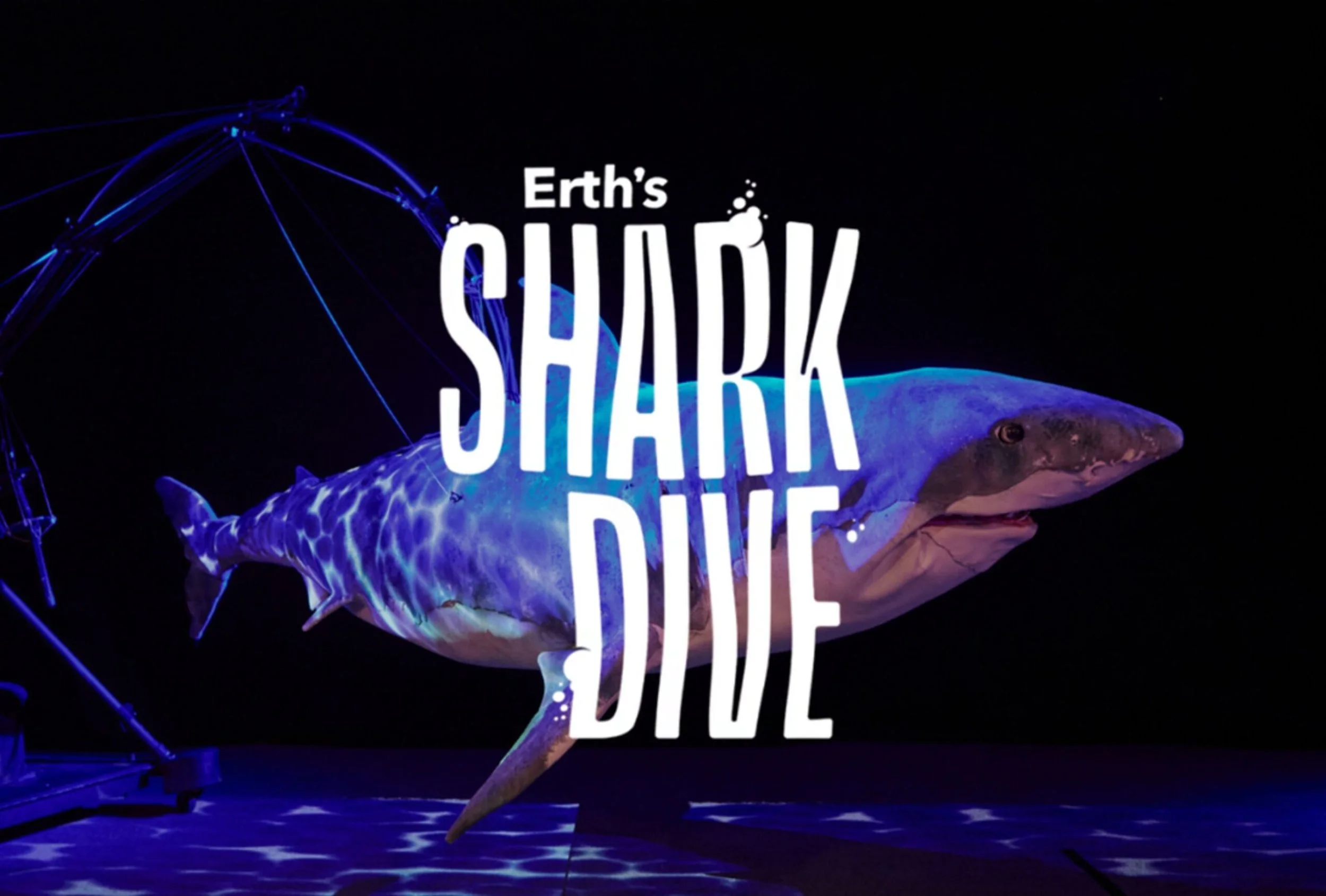 erth's Shark Dive