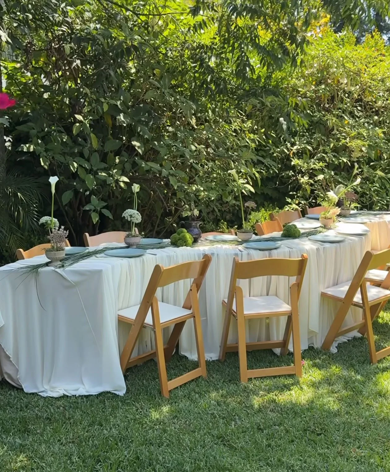 backyard.jpg