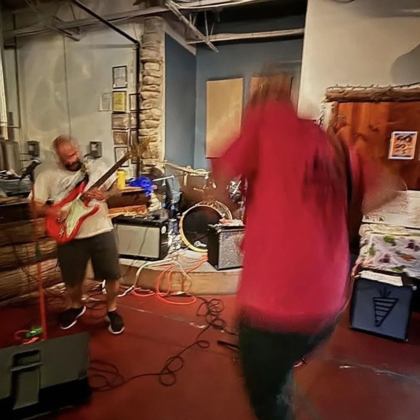 We Are A Vegetable Themed Band: An Interview With The Hudson Valley’s The Veggies