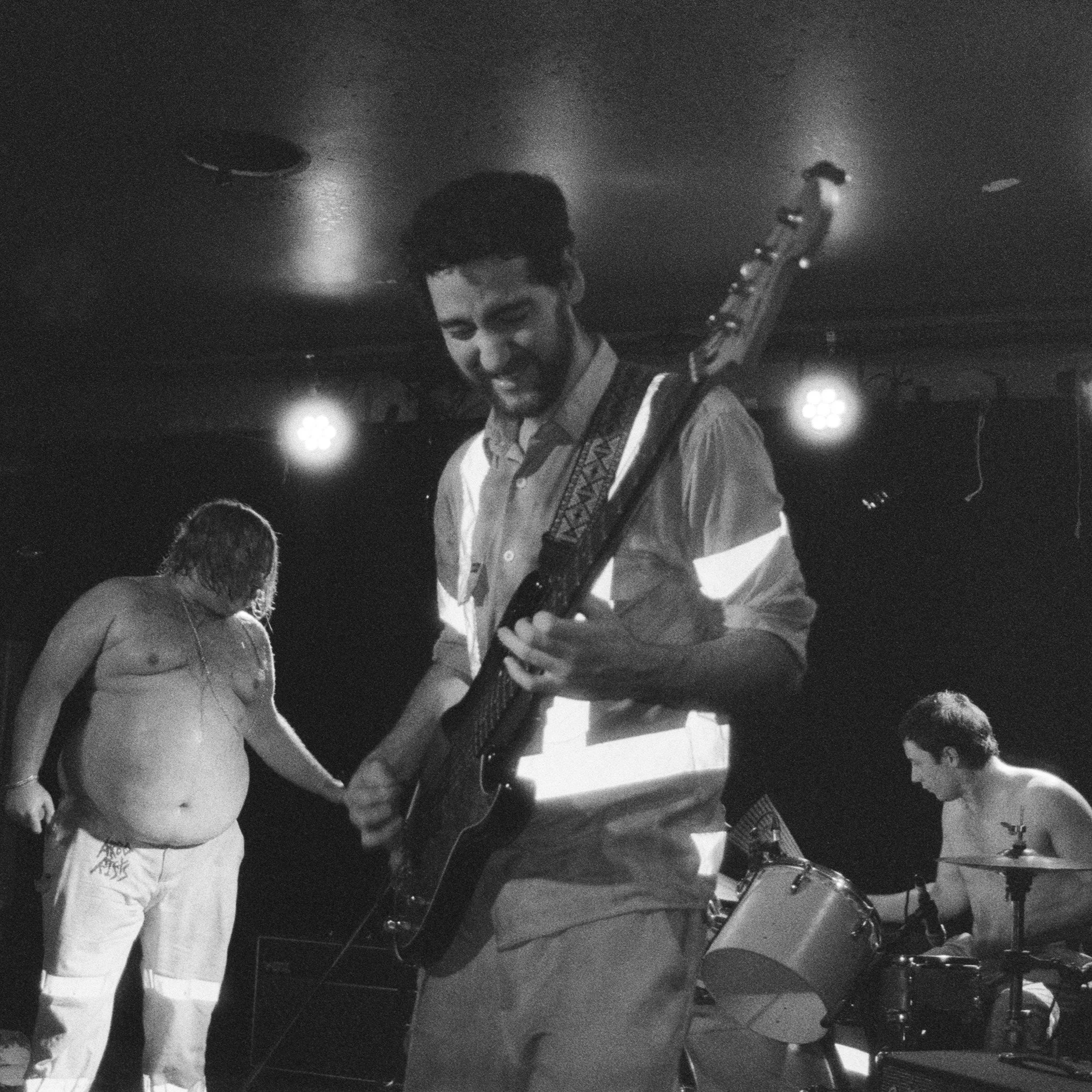 Skewering Society From Australia to America: An Interview with Arborists