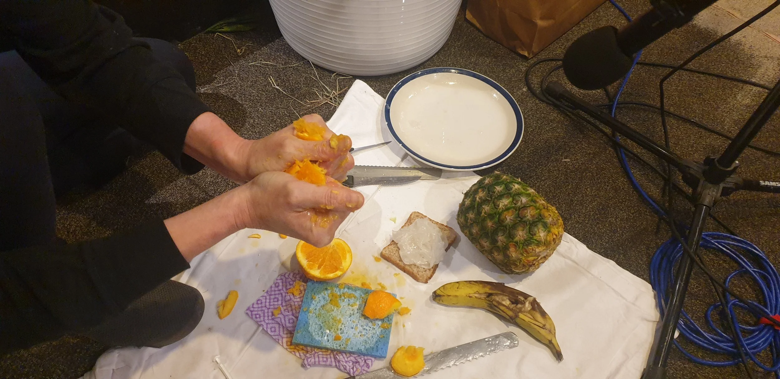 20231019_113545.jpg