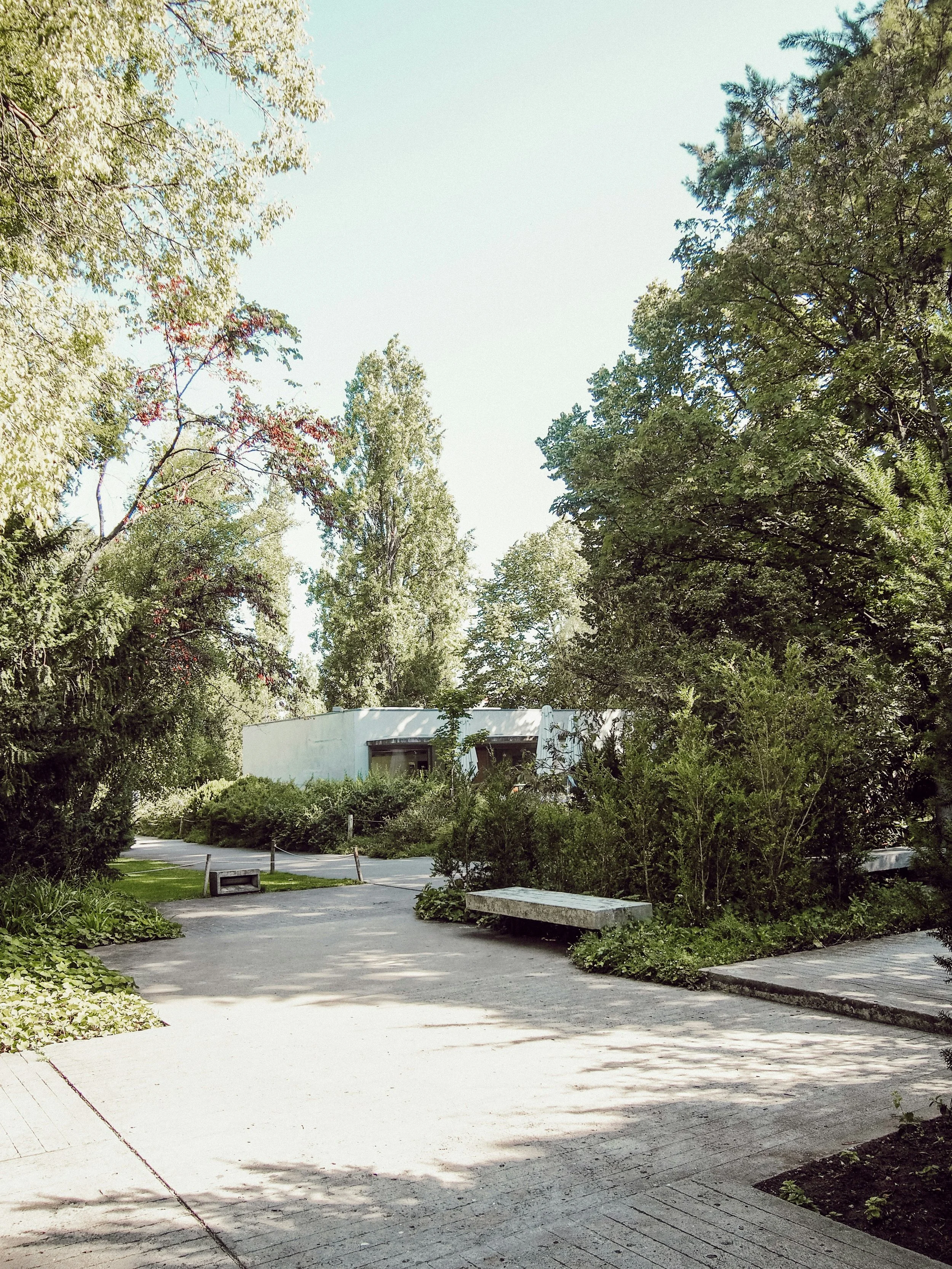 Soft landscaping-Garden Makeover/ Pre-sale