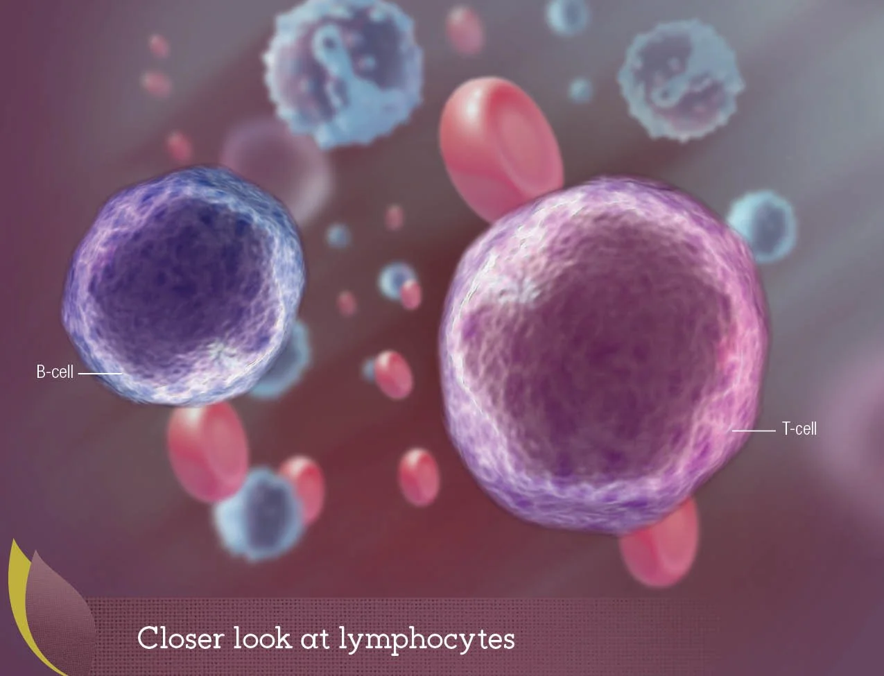 Animation flats2.jpg