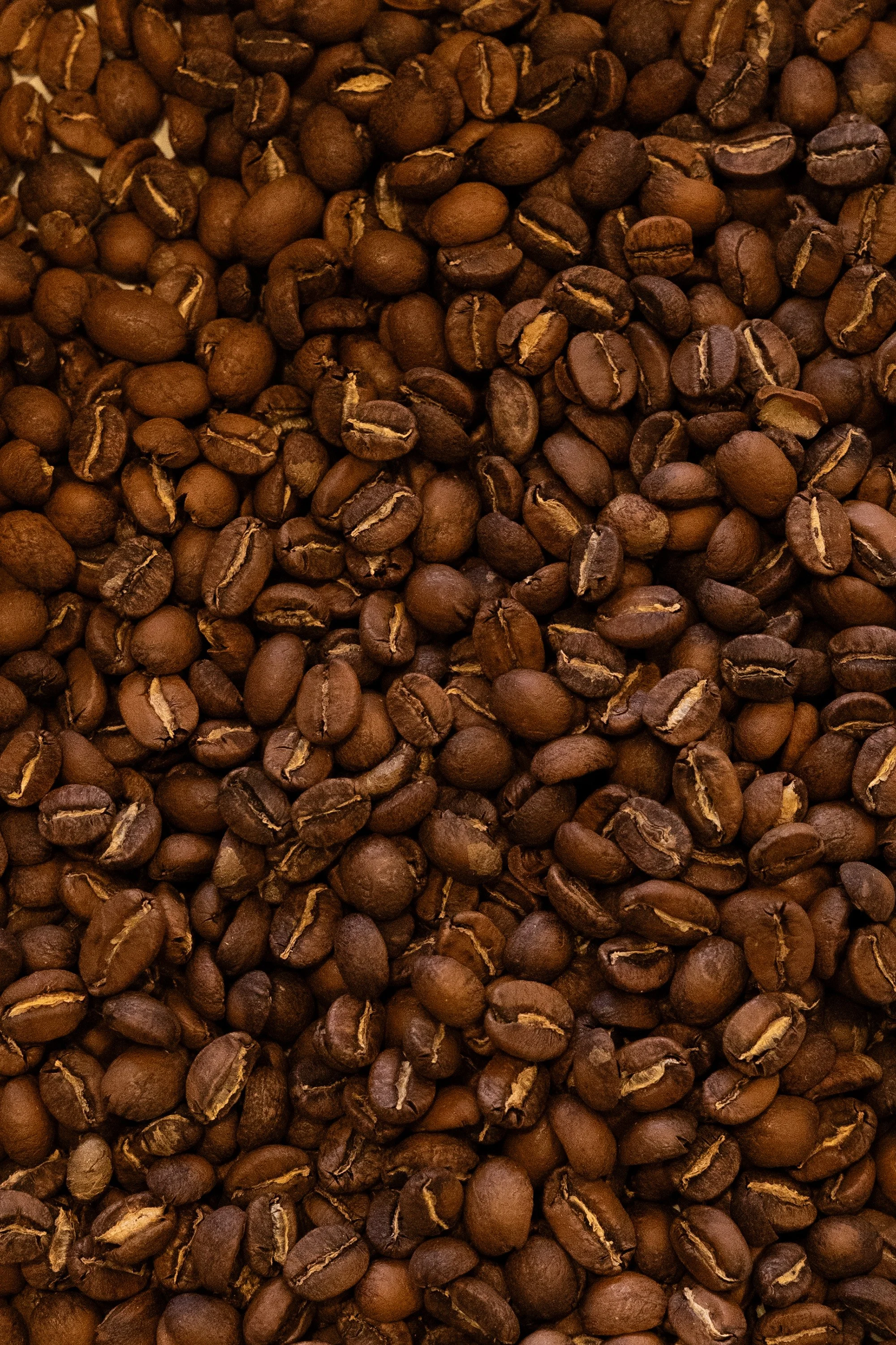 CATUAI_GRANO_10KG.jpg