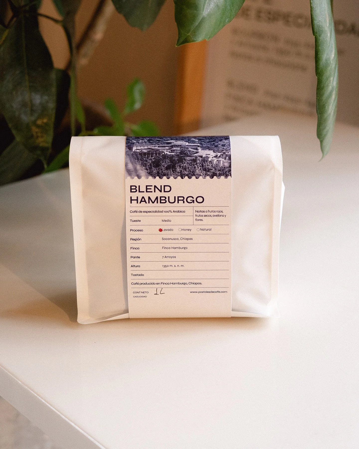 Caja Blend Hamburgo - 10KG
