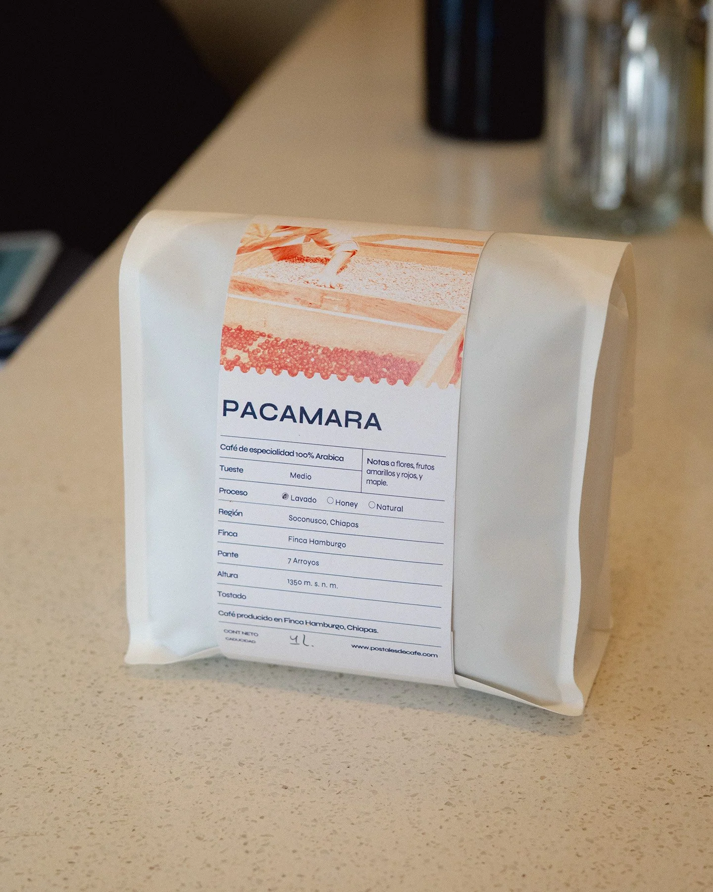 CAJA Pacamara - 10KG