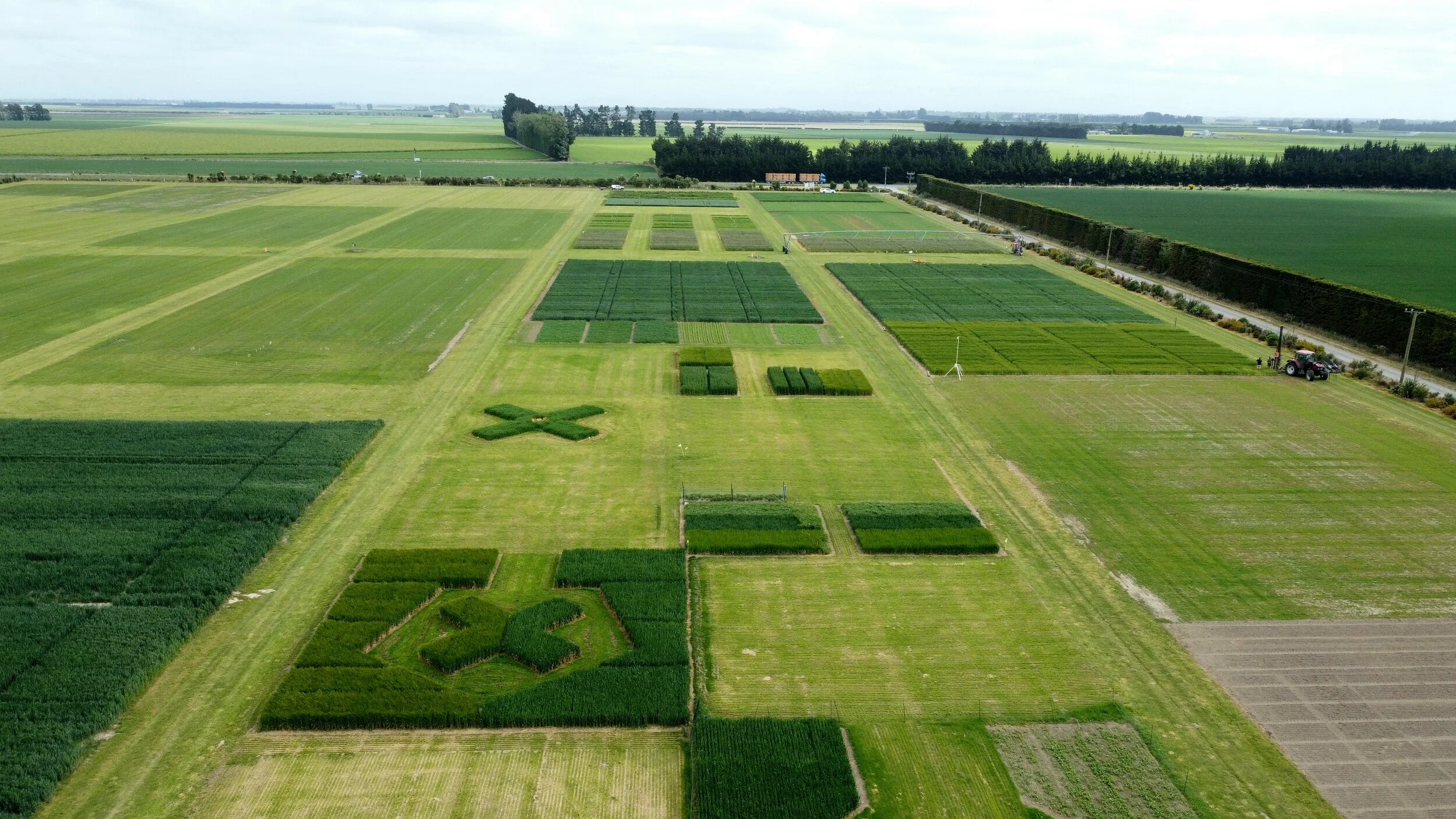 dji_fly_20241113_104228_720_1731449120889_aeb.jpg