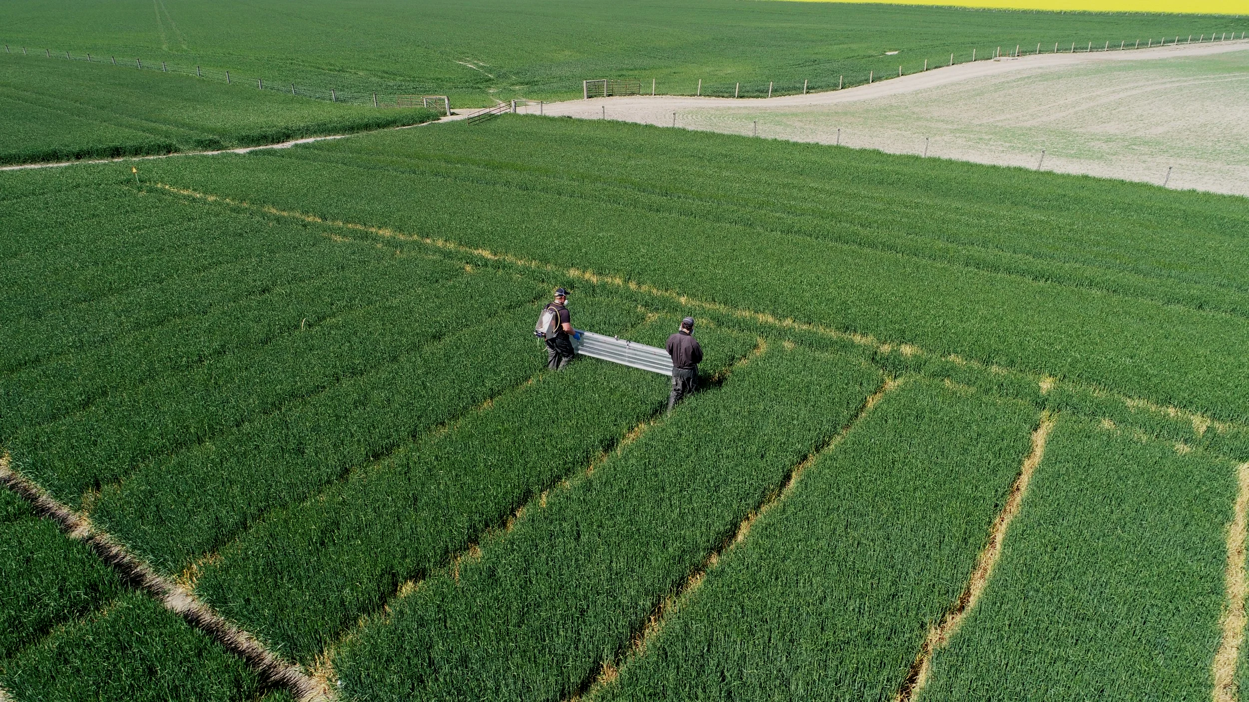 spraying DJI_0378.png