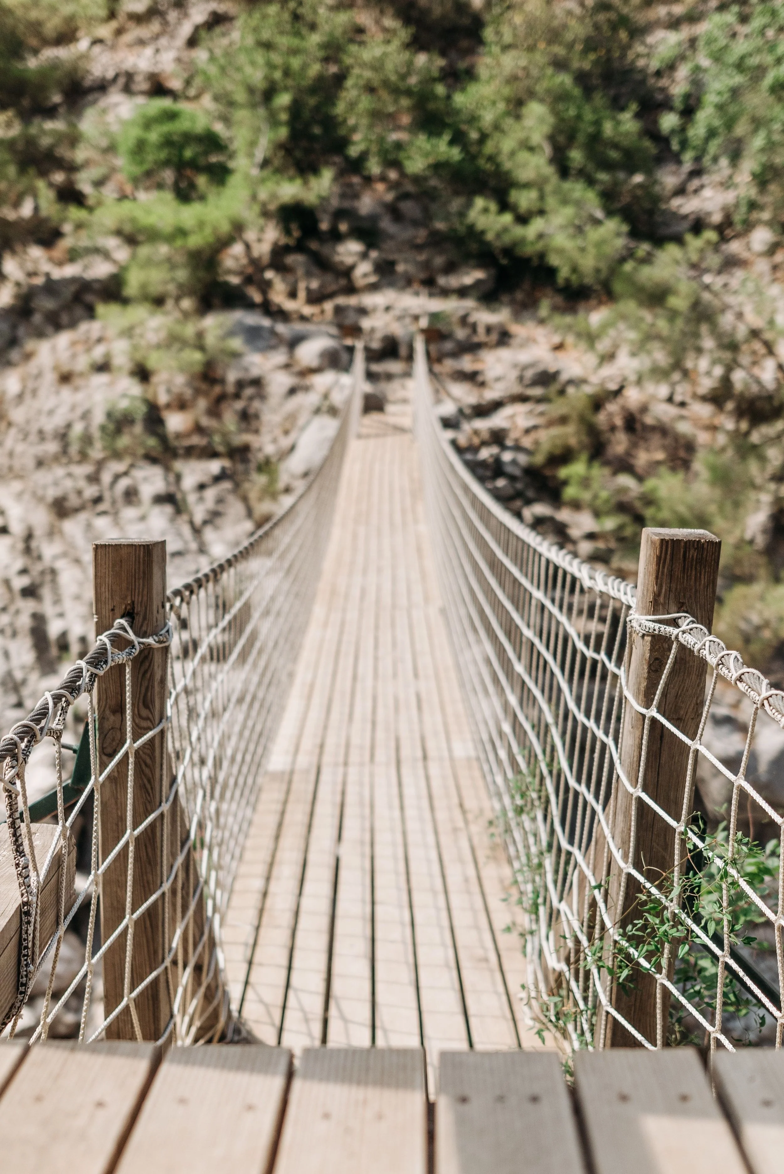 A wooden suspension bridge crossing a canyon, representing a way forward when navigating difficult family transitions or life choices.