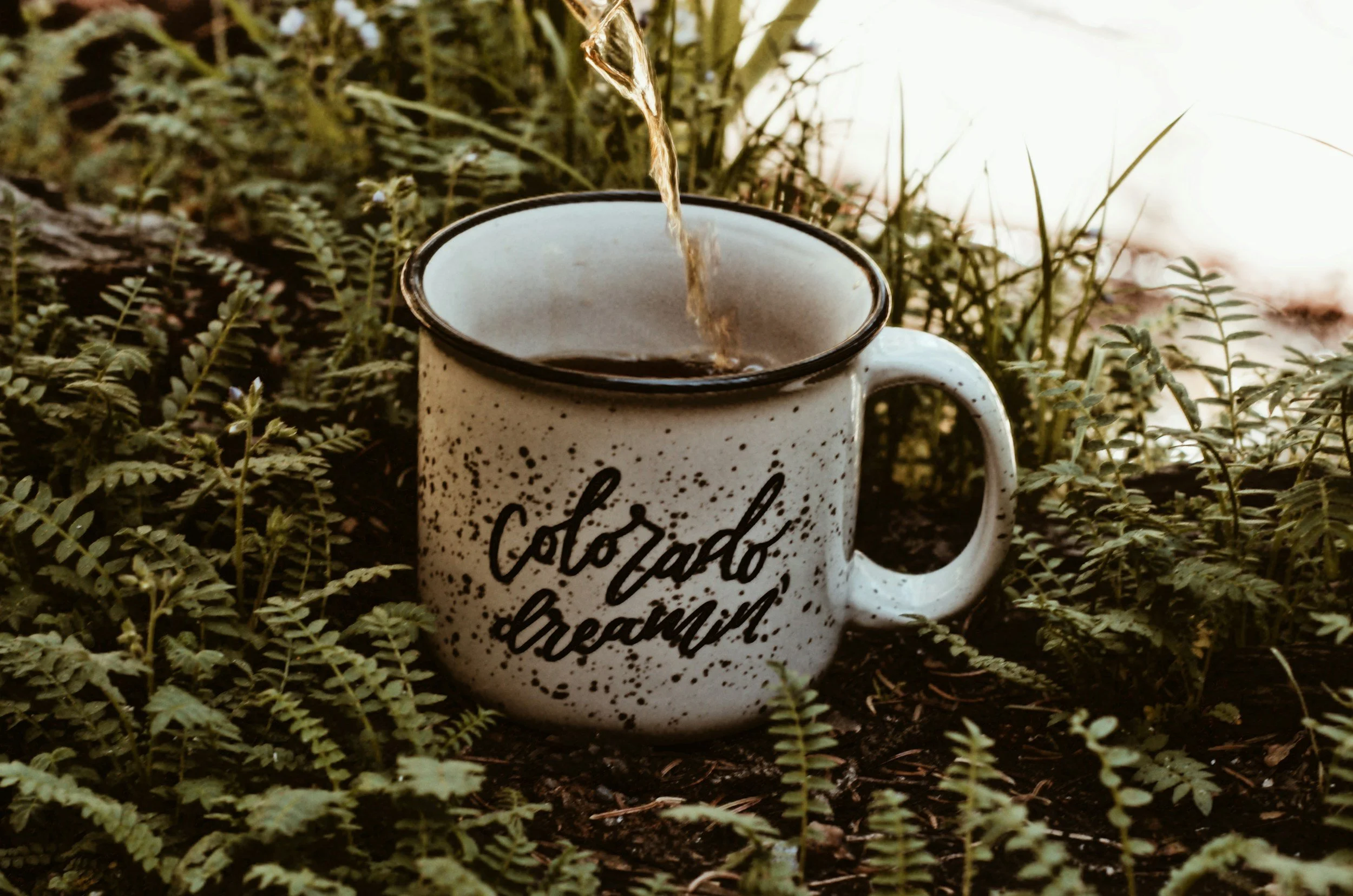 Comfortable picture of coffee mug in Colorado.