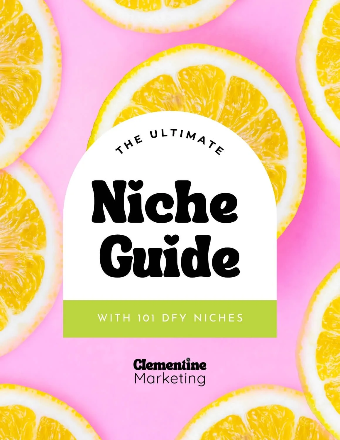 The Ultimate Niche Guide with 101 DFY Niches