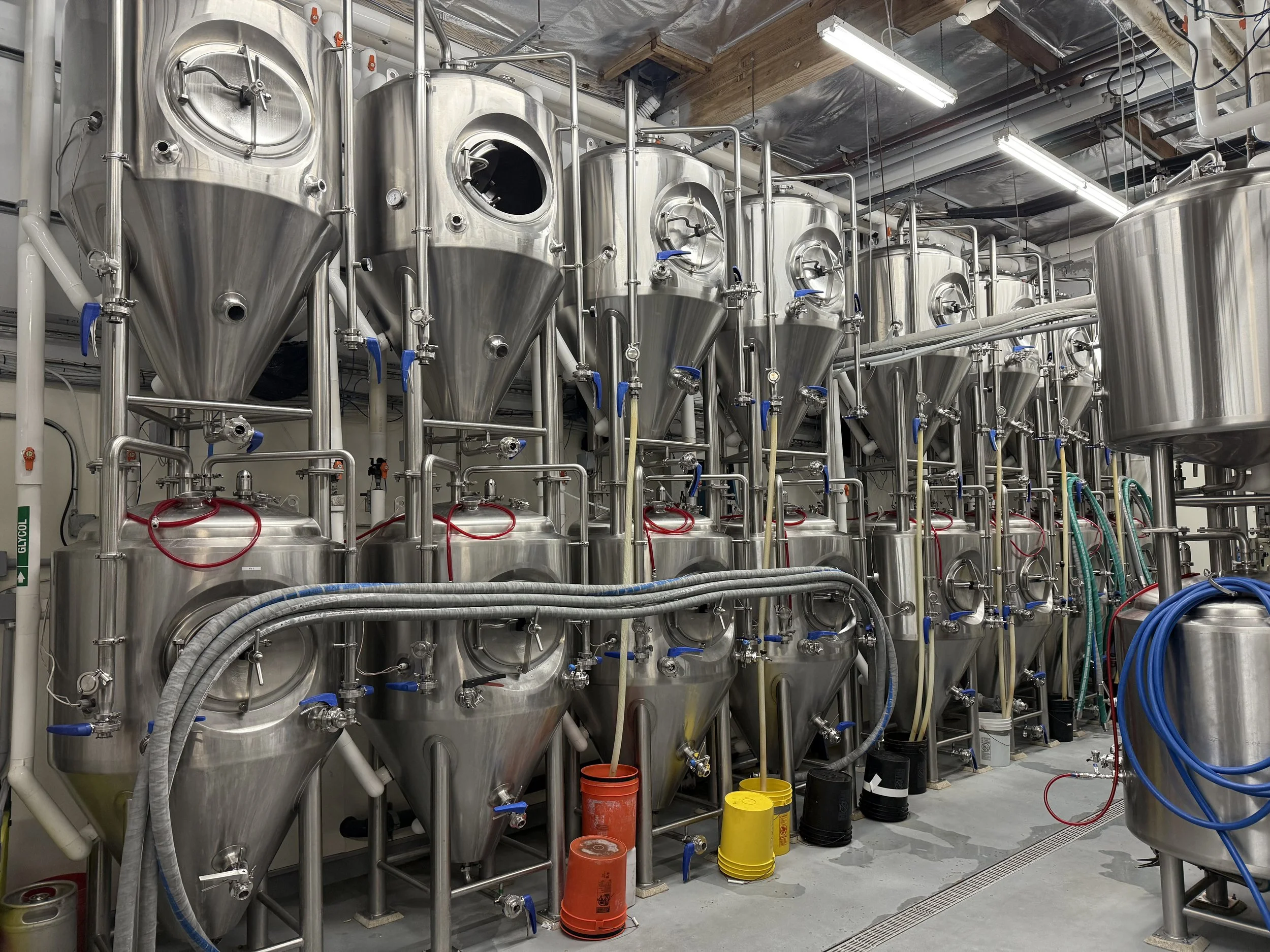 February 2025 Road Trip - White Labs Tour
