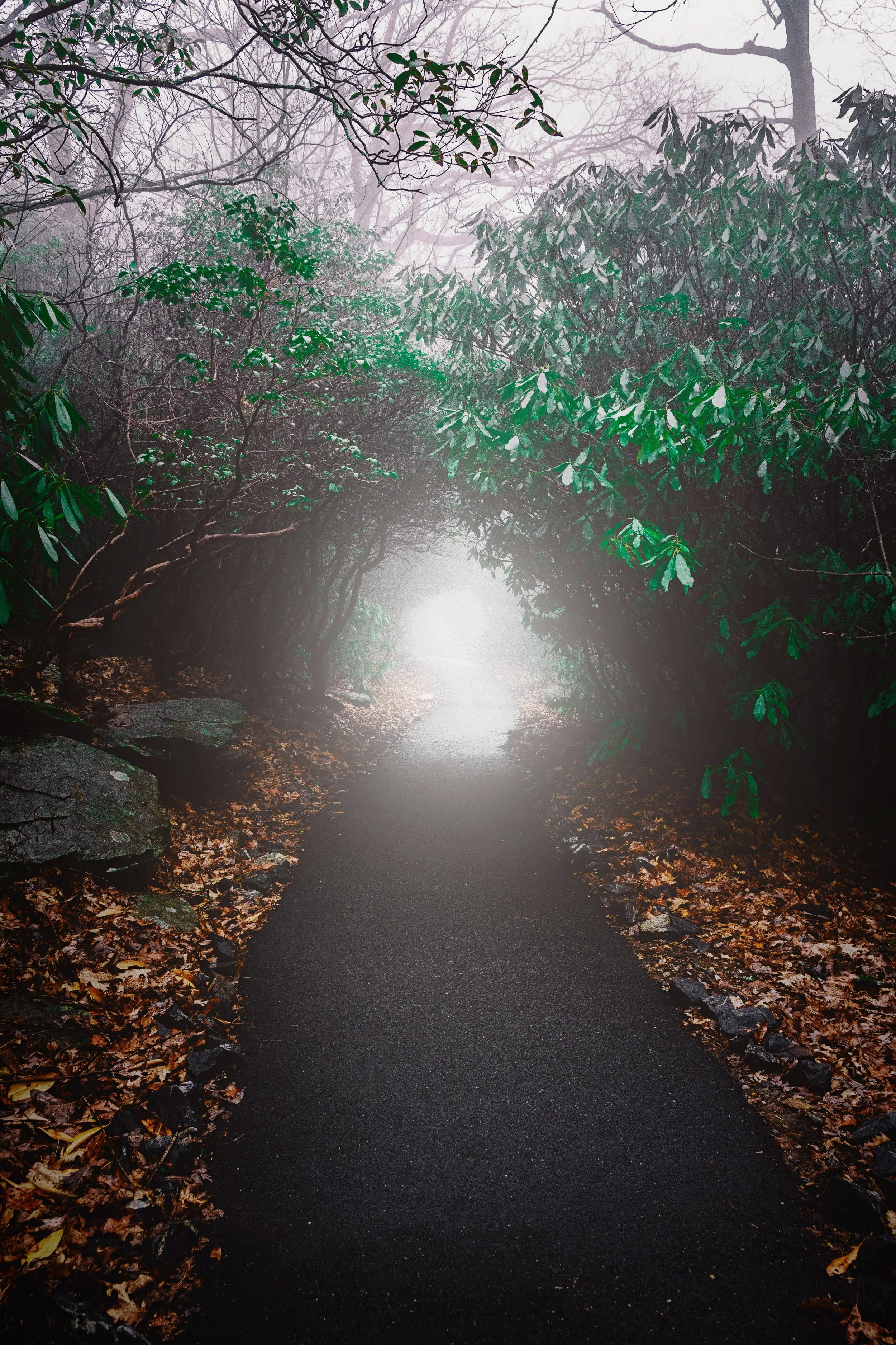How to Cope with Uncertainty in Life: A Somatic Approach for Women
