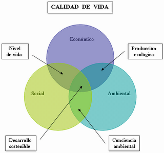 desarrollo 2.png